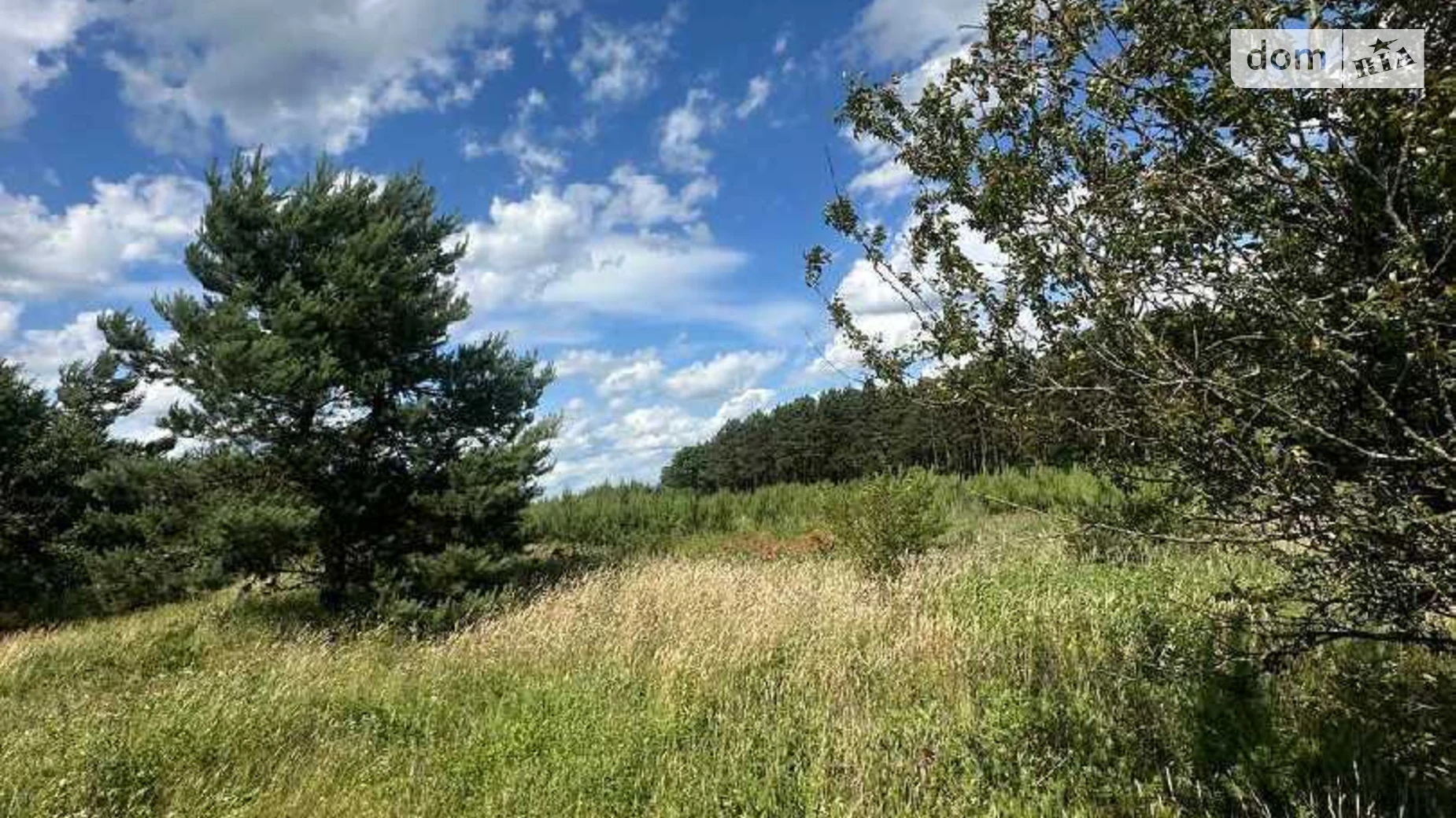 Продается земельный участок 22 соток в Львовской области, цена: 62000 $ - фото 3