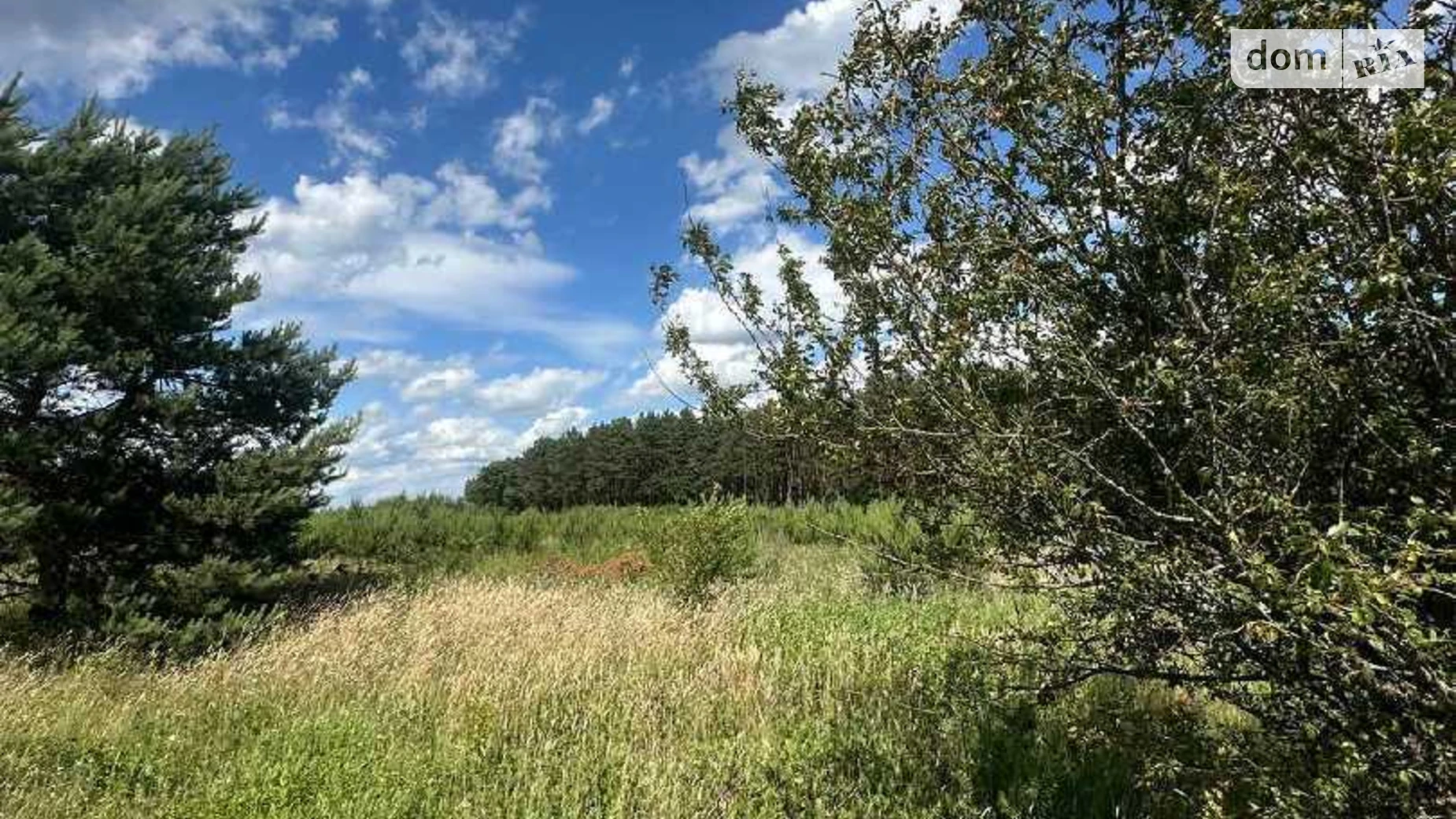 Продается земельный участок 22 соток в Львовской области, цена: 62000 $ - фото 2