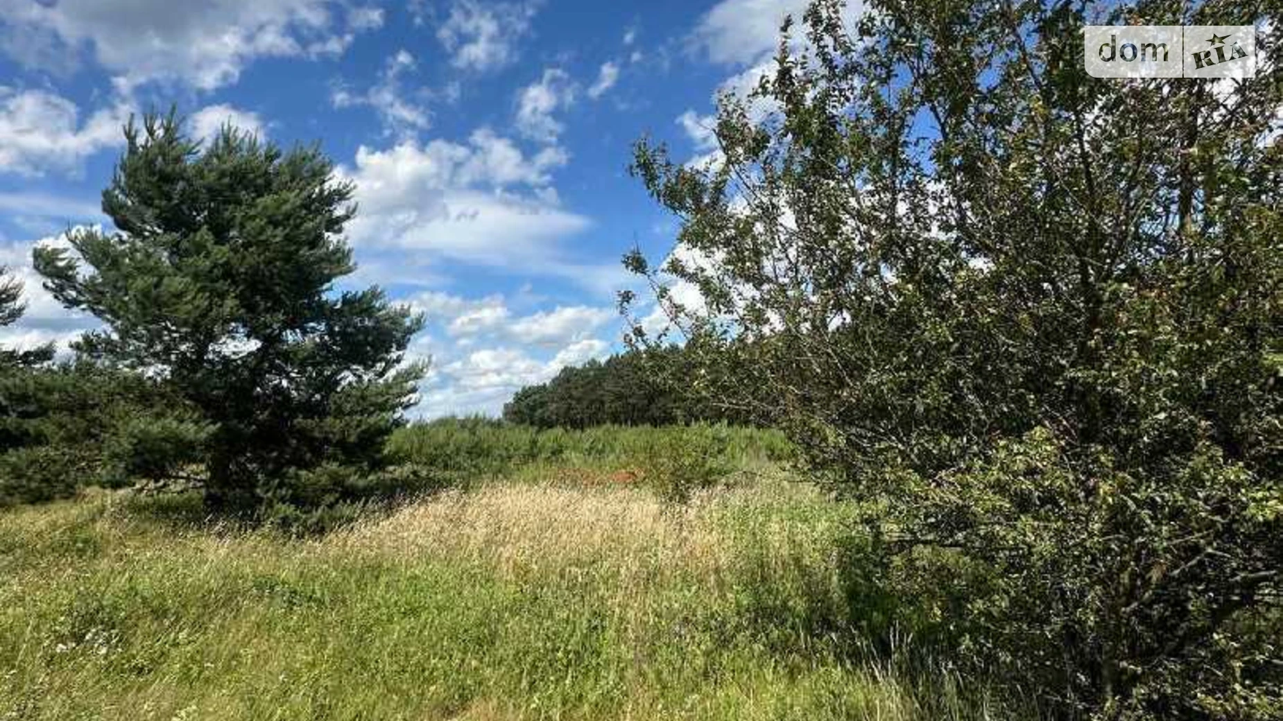 Продается земельный участок 22 соток в Львовской области, цена: 62000 $ - фото 4