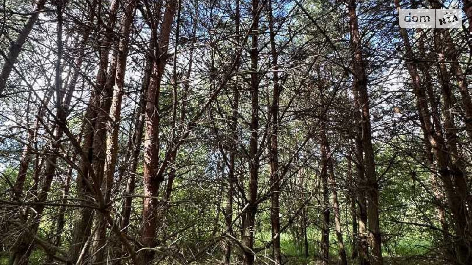 Продается земельный участок 10 соток в Львовской области, цена: 33000 $ - фото 2