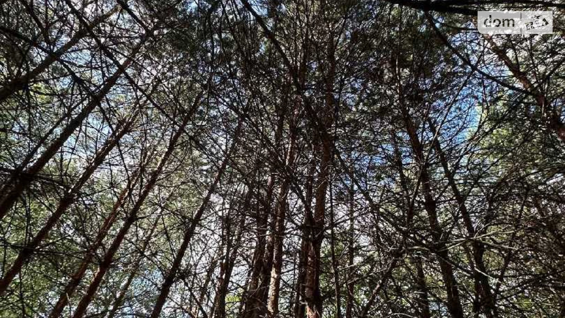 Продается земельный участок 10 соток в Львовской области, цена: 33000 $ - фото 3