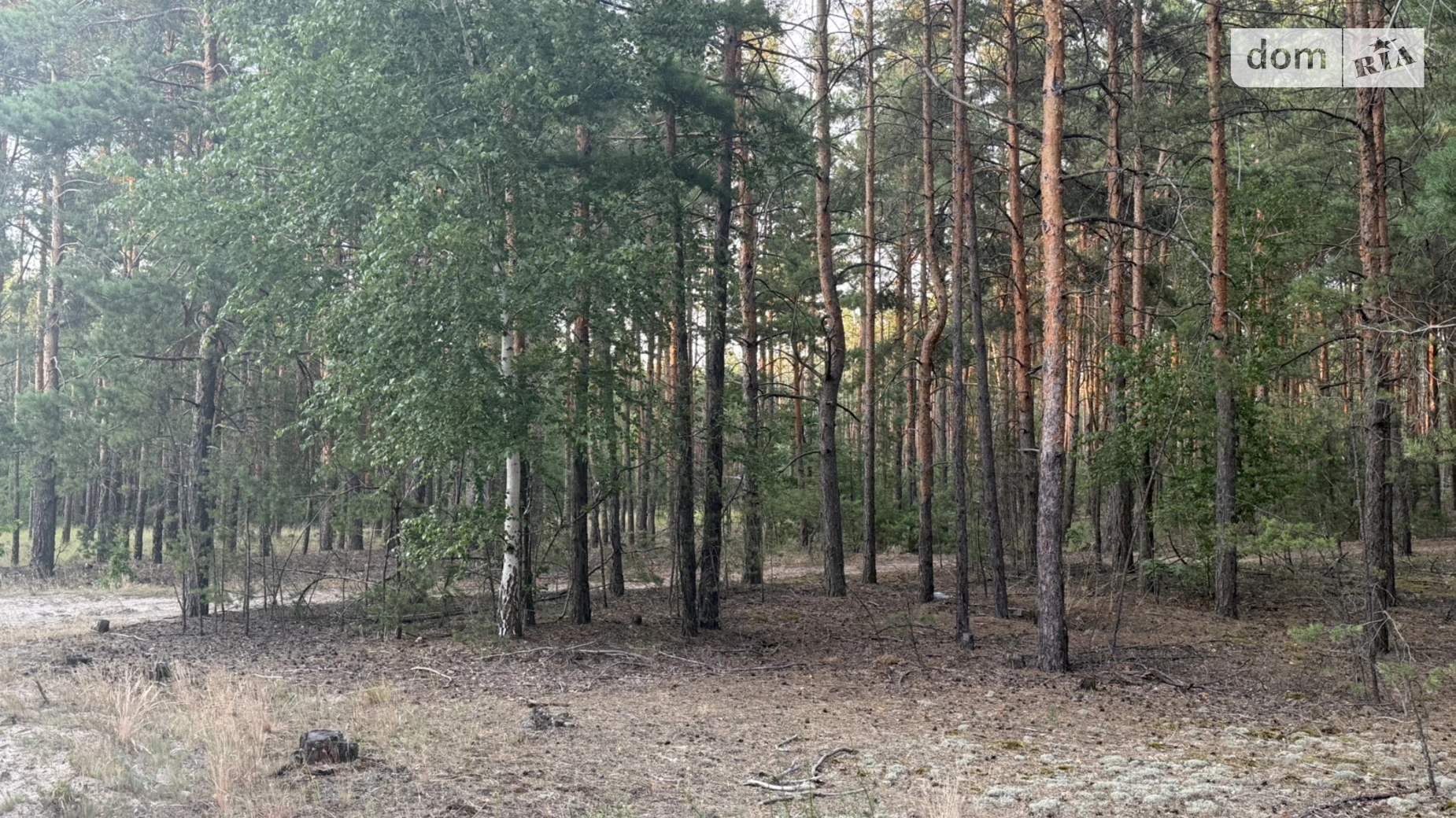 Продается земельный участок 10.6 соток в Киевской области, цена: 22000 $ - фото 2