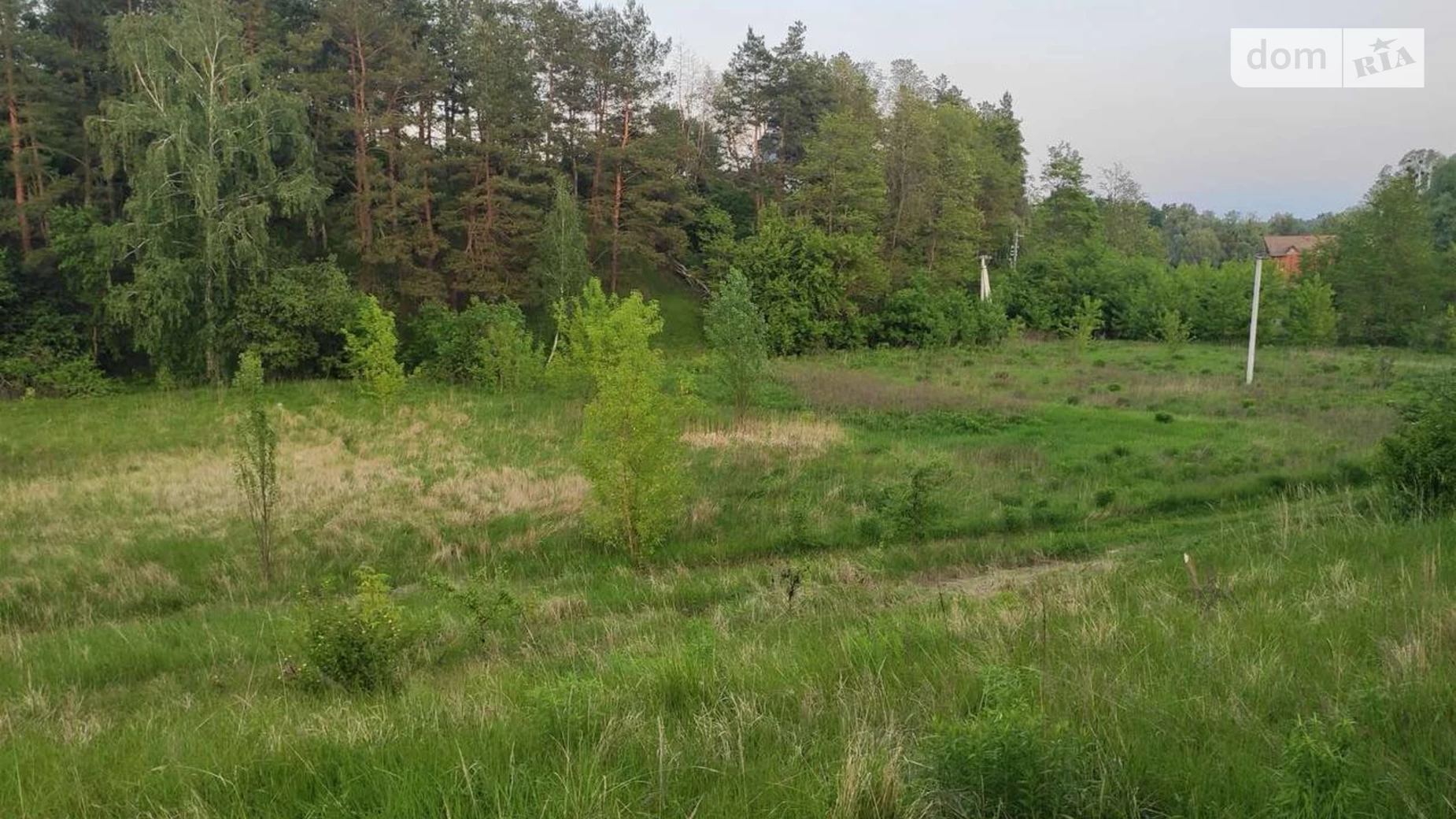 Лісники, цена: 25000 $ - фото 5