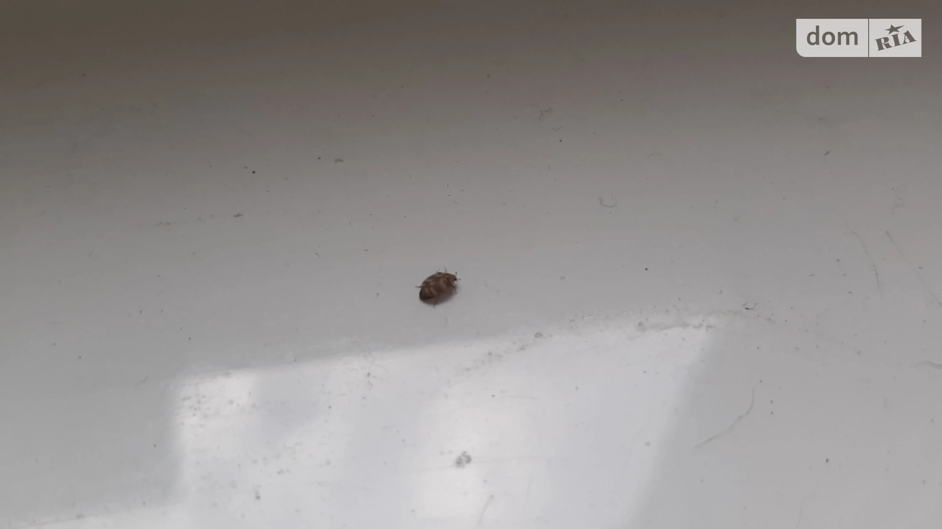 Продается 2-комнатная квартира 54 кв. м в Львове, ул. Рудненская, 8Е - фото 4