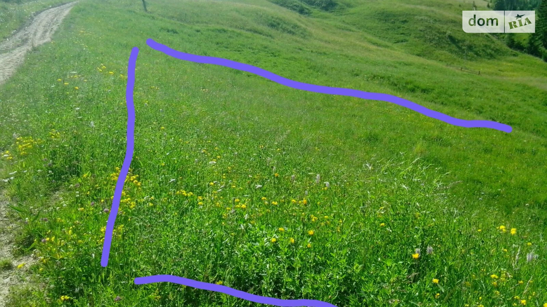 Продается земельный участок 25 соток в Ивано-Франковской области, цена: 21250 $ - фото 2