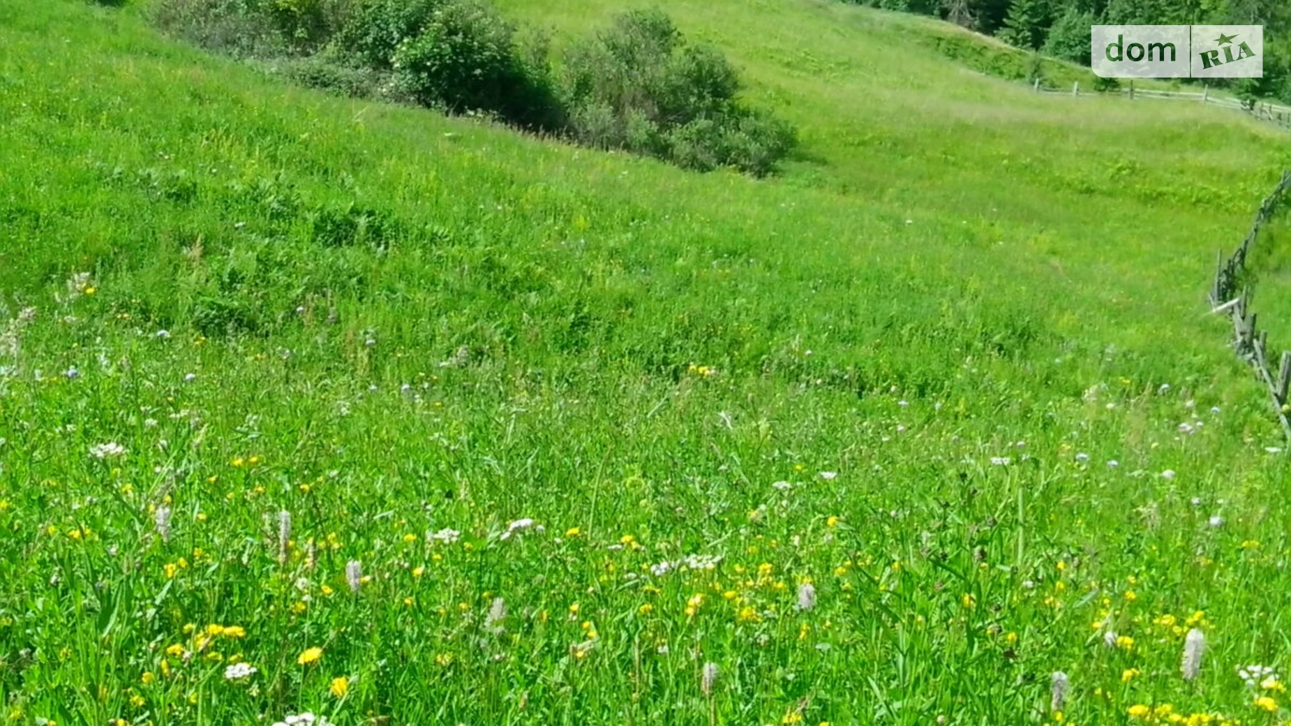 Продается земельный участок 25 соток в Ивано-Франковской области, цена: 21250 $ - фото 3
