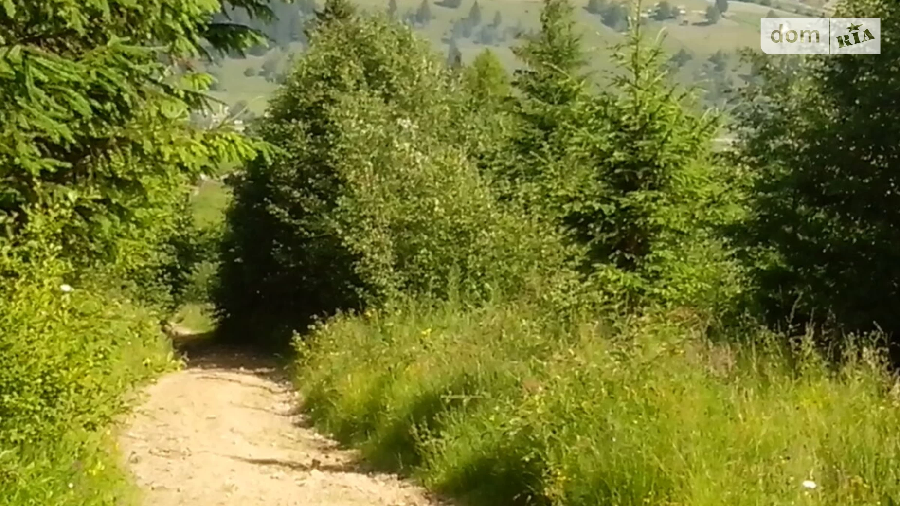 Продается земельный участок 25 соток в Ивано-Франковской области, цена: 21250 $ - фото 4