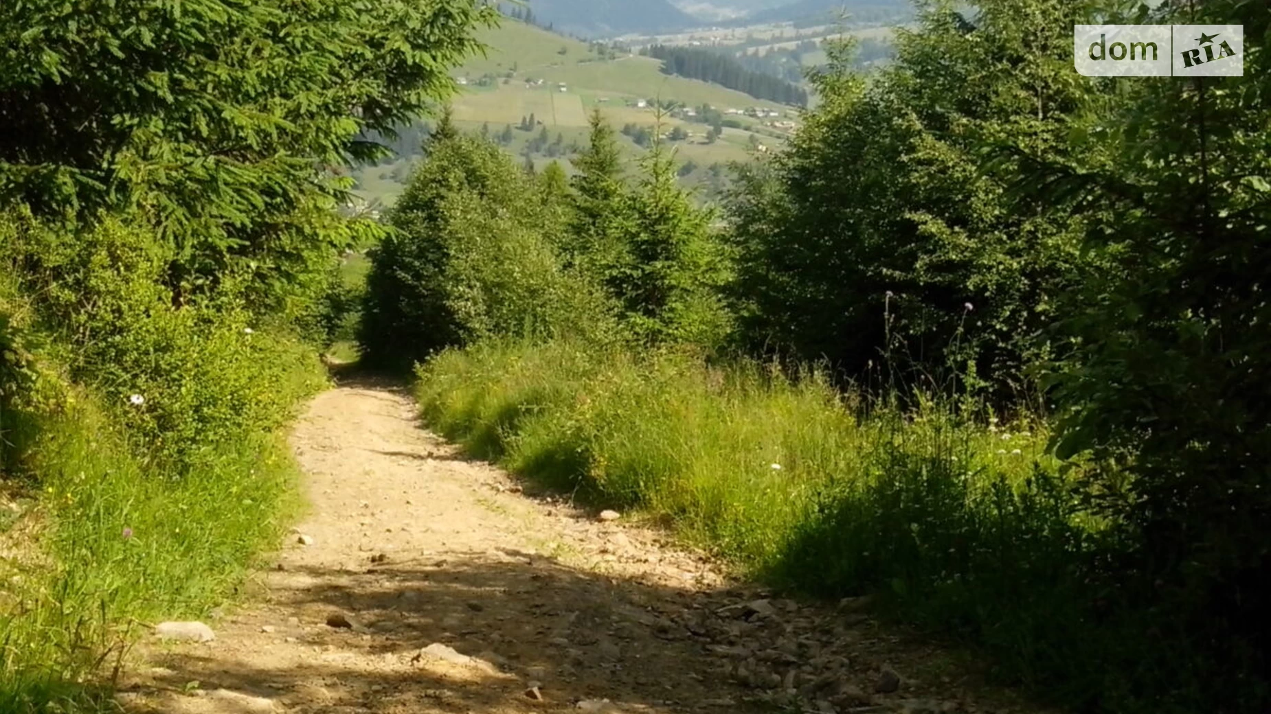 Продается земельный участок 25 соток в Ивано-Франковской области, цена: 21250 $ - фото 5