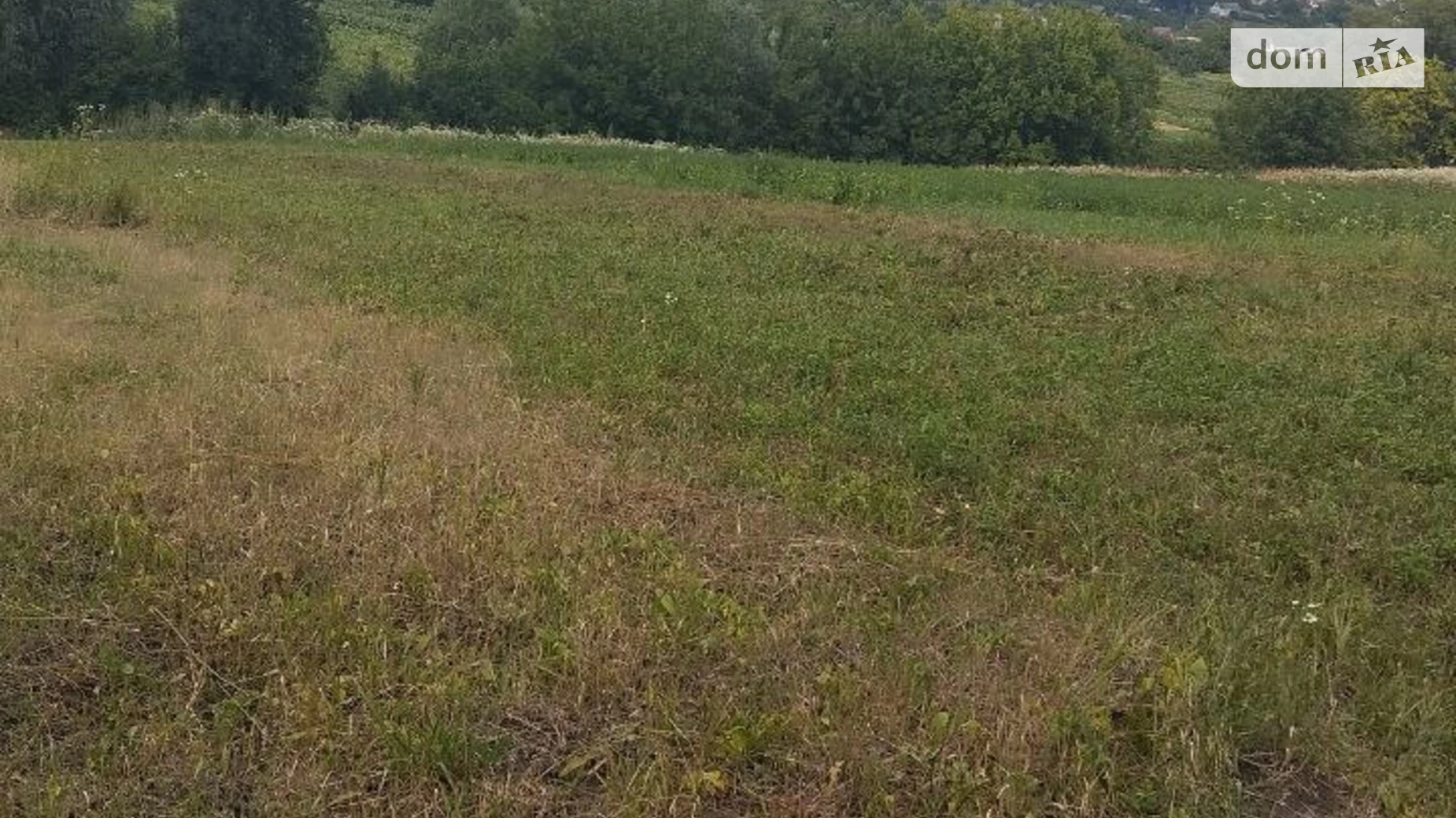СТ Ружичнянське Хмельницкий, цена: 15500 $ - фото 5