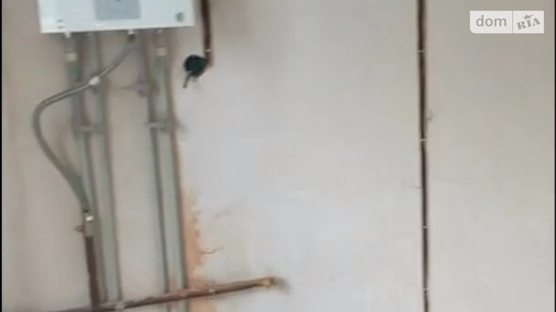 Продається 1-кімнатна квартира 40 кв. м у Ірпені, вул. Гайдамацька, 17Б - фото 4