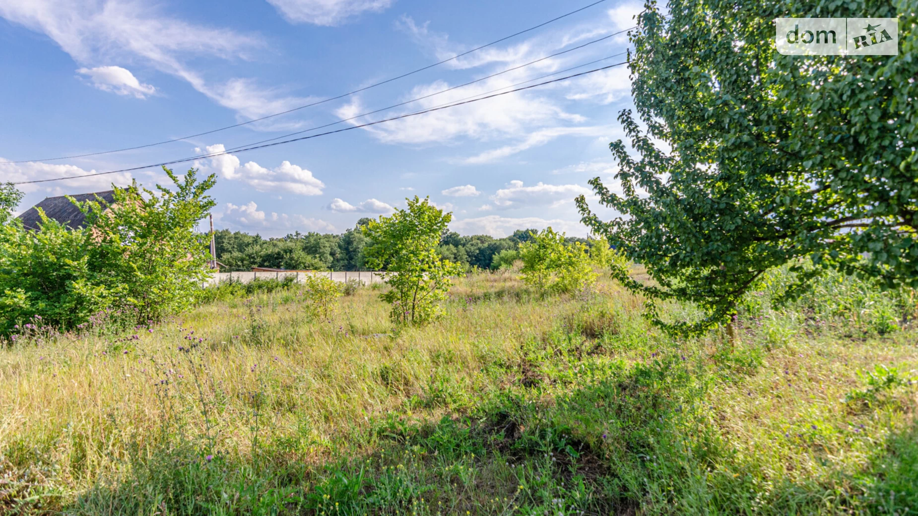 Продается земельный участок 15 соток в Полтавской области, цена: 4500 $ - фото 2