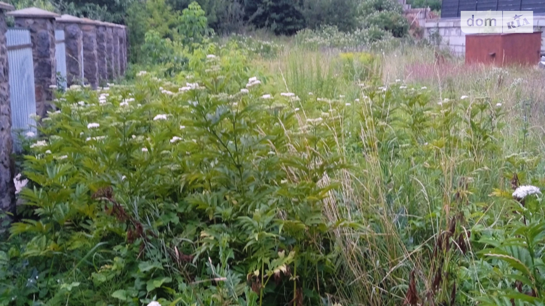 пер. Грушевый Старый город Винница, цена: 25000 $ - фото 3