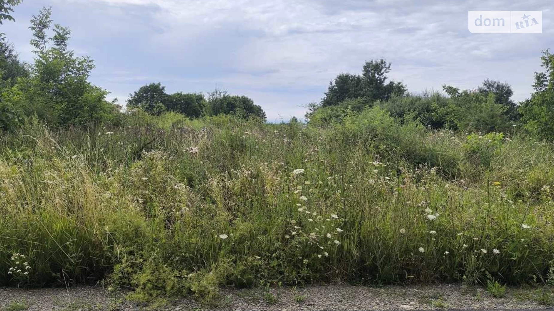 Продается земельный участок 12 соток в Закарпатской области, цена: 11000 $ - фото 3