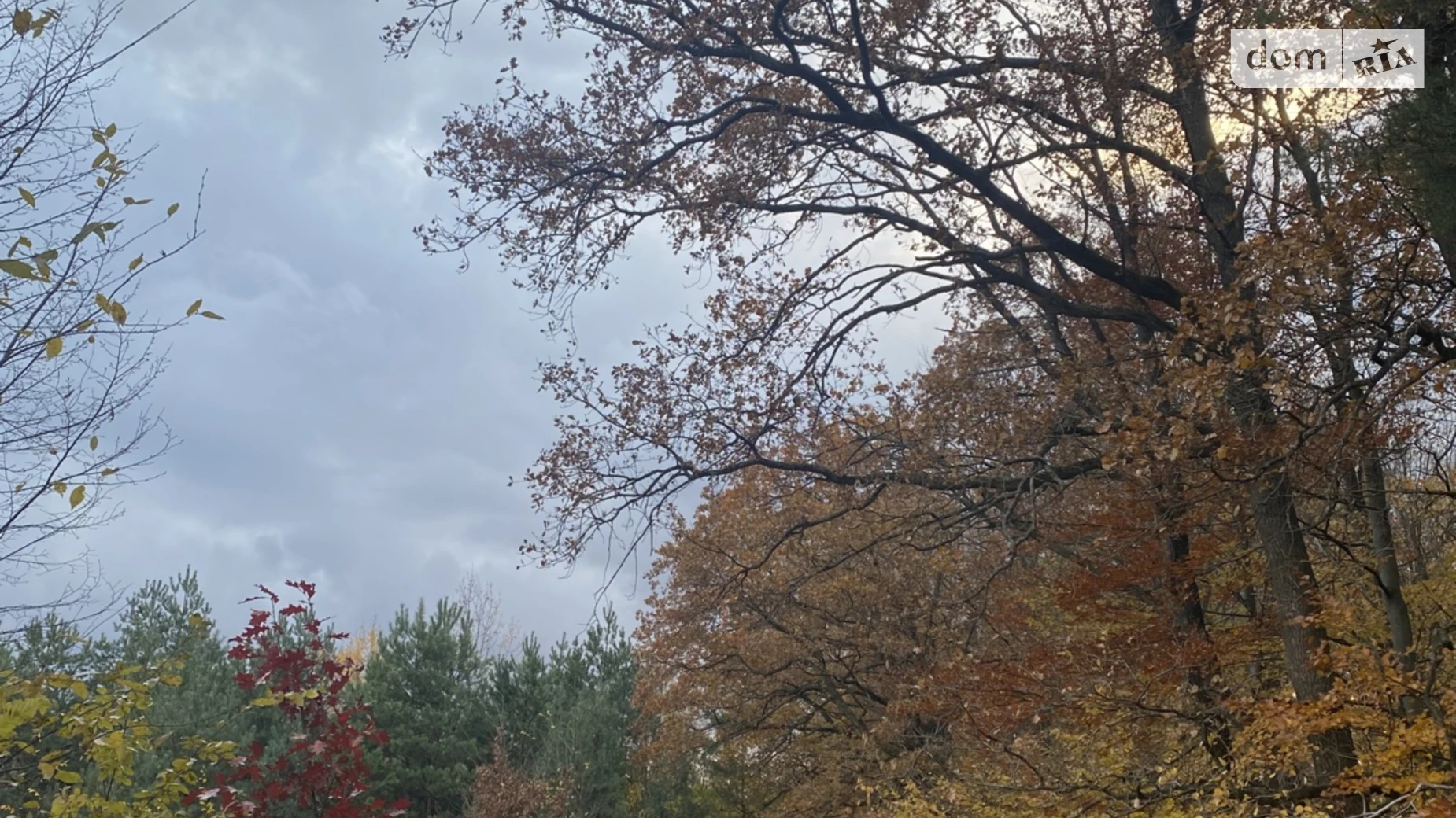 Лелеховка, цена: 8500 $ - фото 3