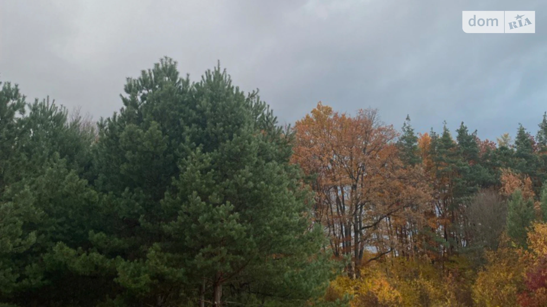 Лелеховка, цена: 8500 $ - фото 5