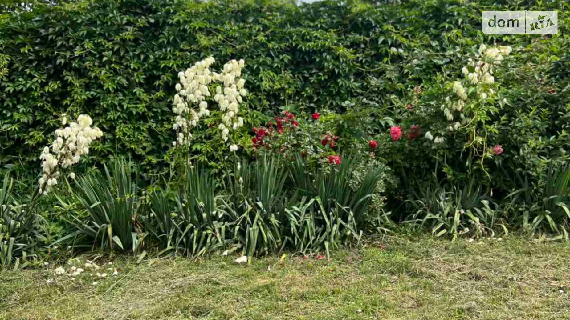 Продается одноэтажный дом 90 кв. м с мебелью, цена: 36000 $ - фото 2