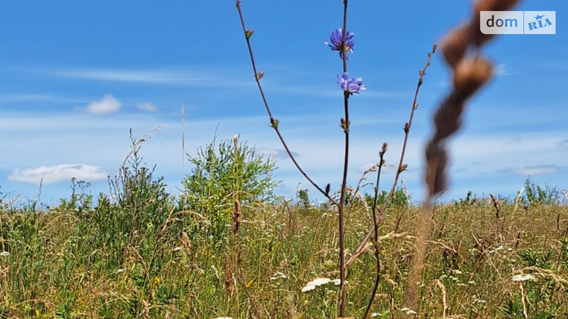 Продается земельный участок 25 соток в Хмельницкой области, цена: 8900 $ - фото 2