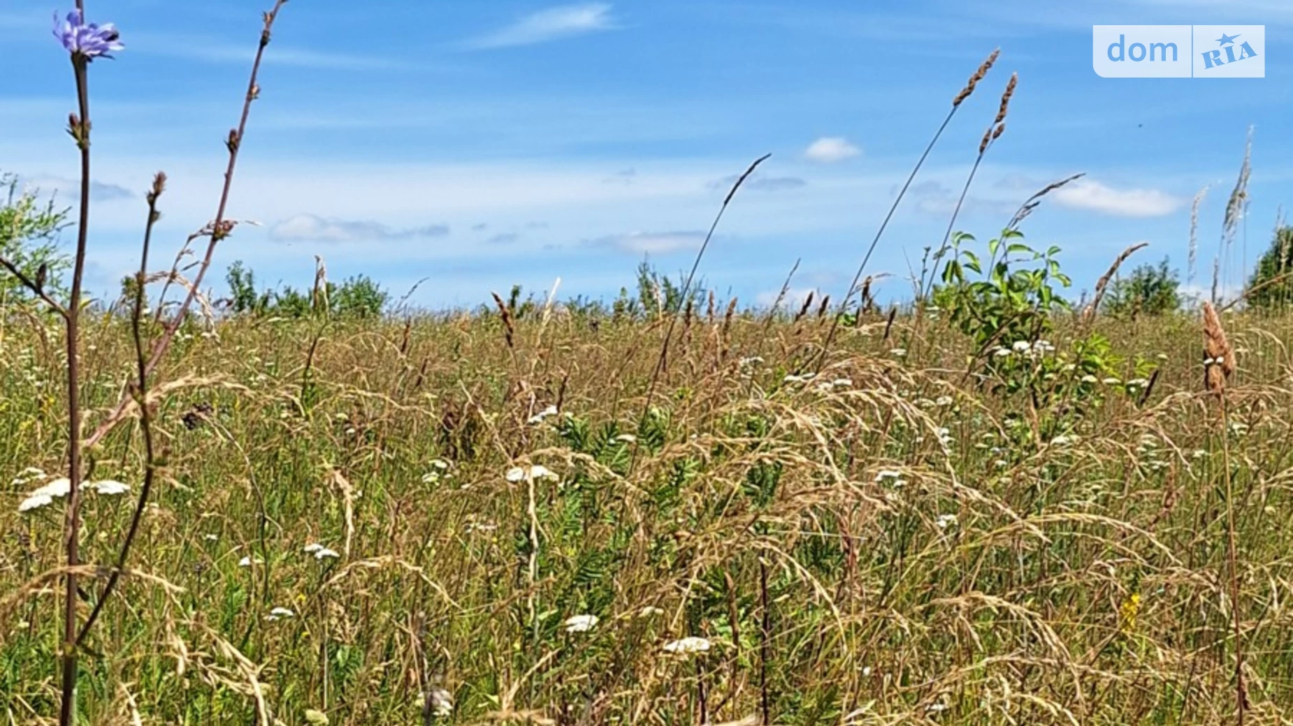 Продается земельный участок 25 соток в Хмельницкой области, цена: 8900 $ - фото 5