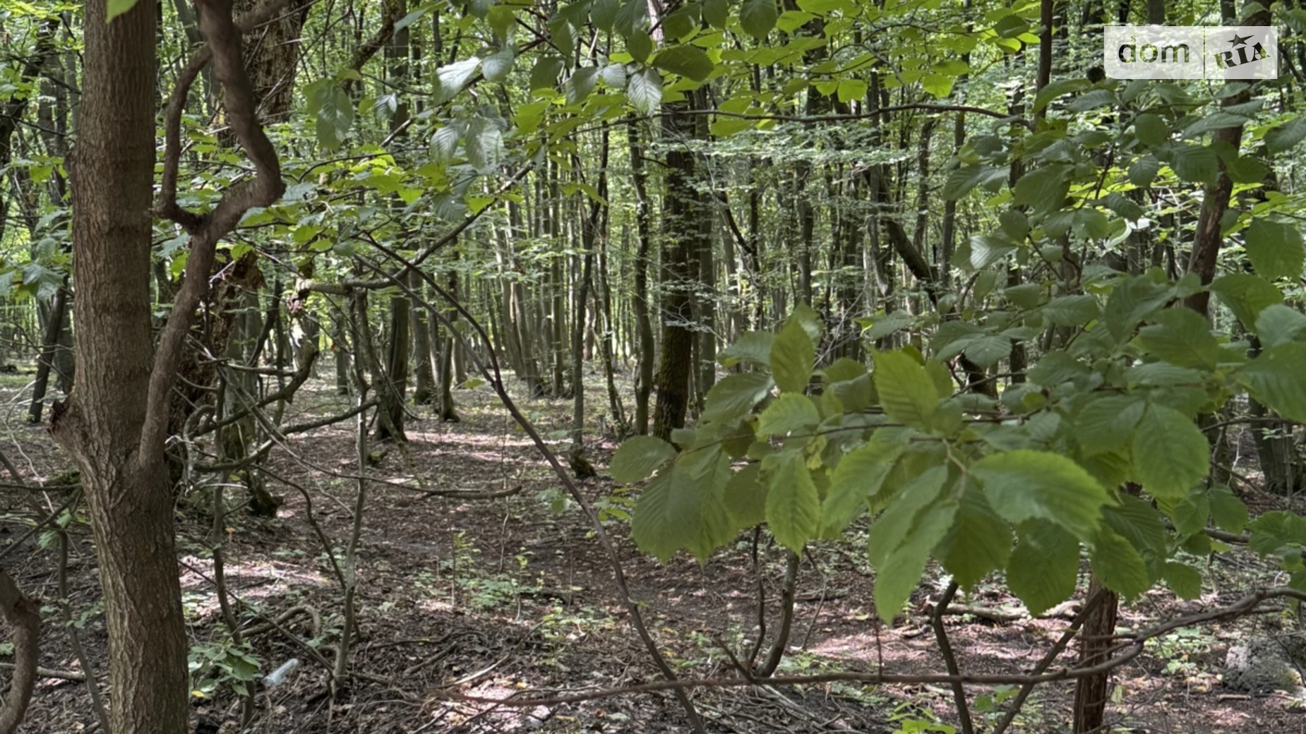 Продается земельный участок 11.88 соток в Хмельницкой области, цена: 29500 $ - фото 2