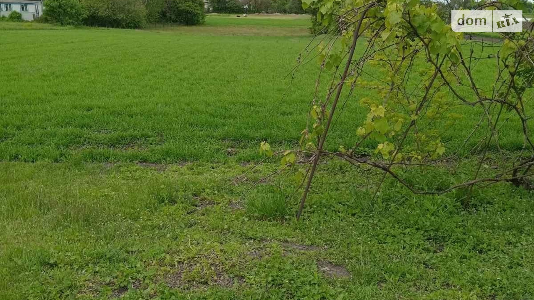вулиця Центральна Мазинки, цена: 9500 $ - фото 4