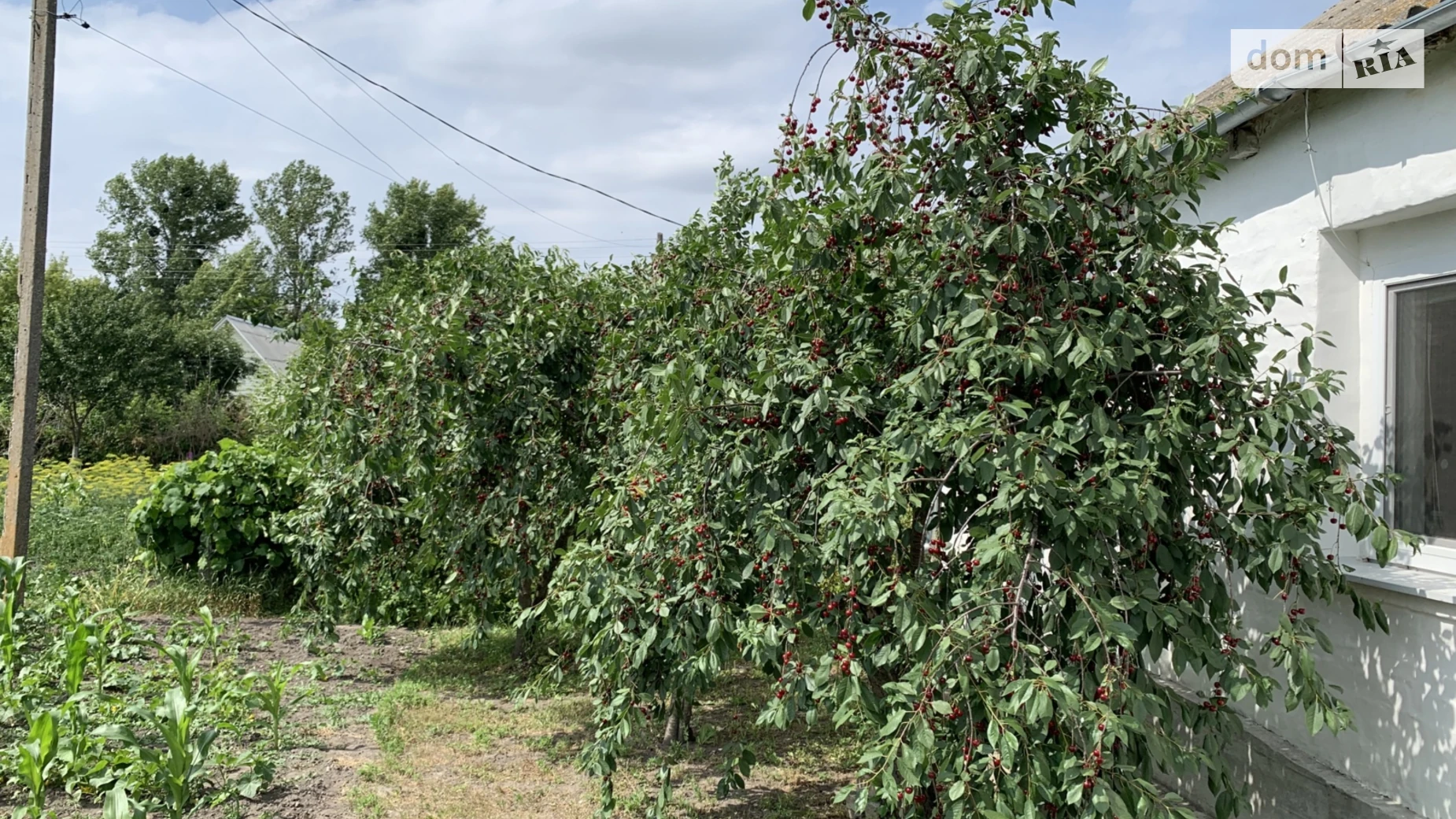 Продається одноповерховий будинок 95 кв. м з банею/сауною, цена: 30000 $ - фото 4