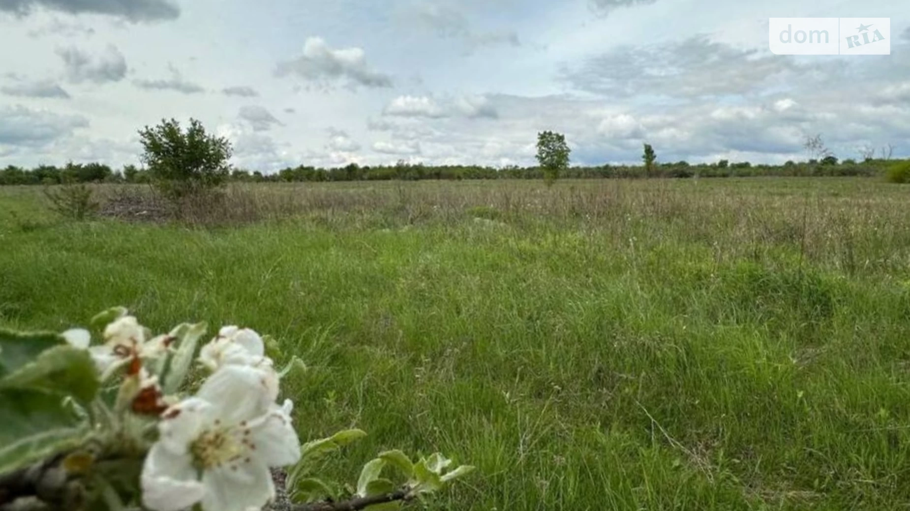 Гостомель, цена: 23000 $ - фото 4
