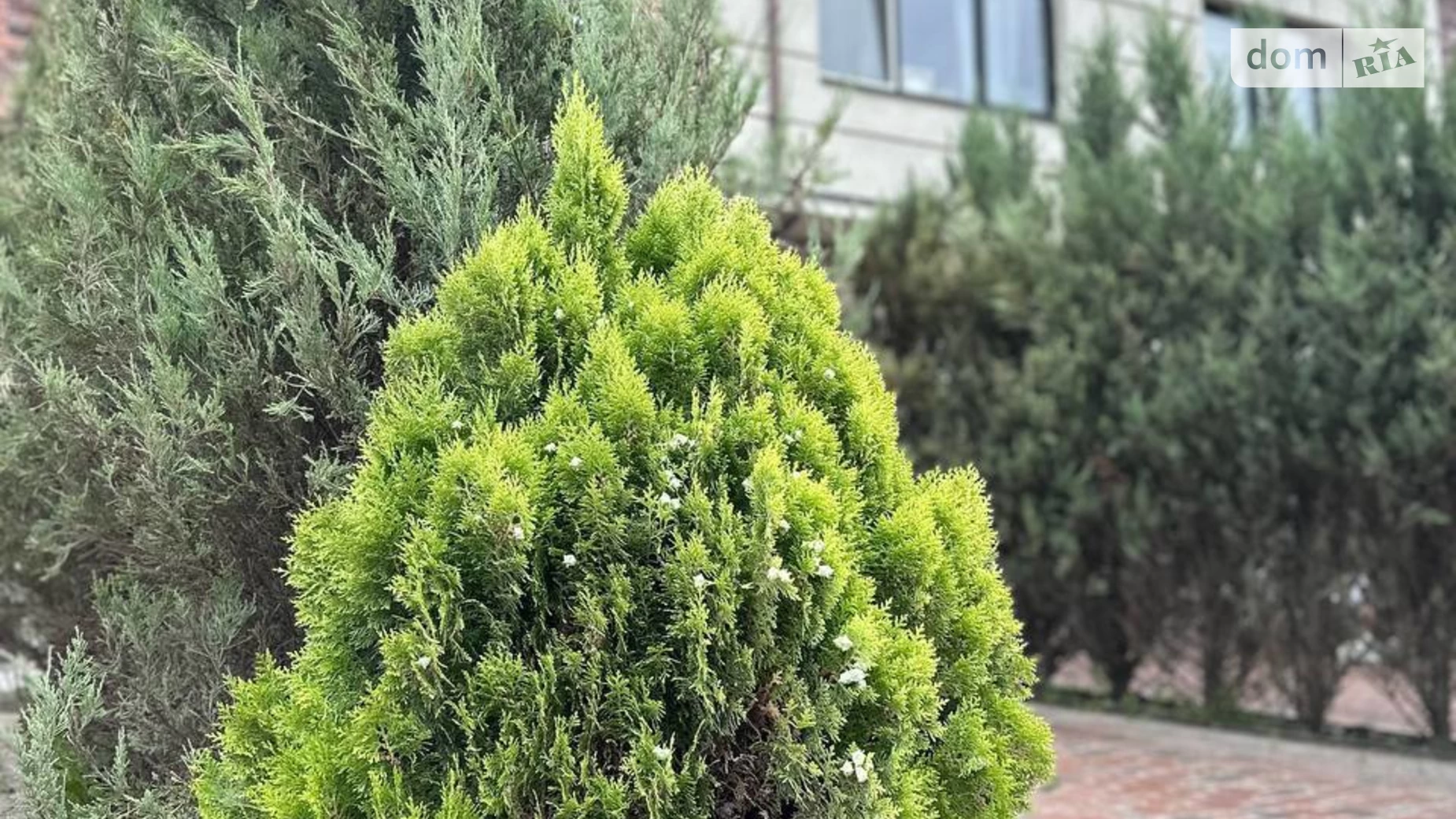 Продается 2-комнатная квартира 58 кв. м в Киеве, ул. Ивана Билыка(Яблоневая), 15-17 - фото 3