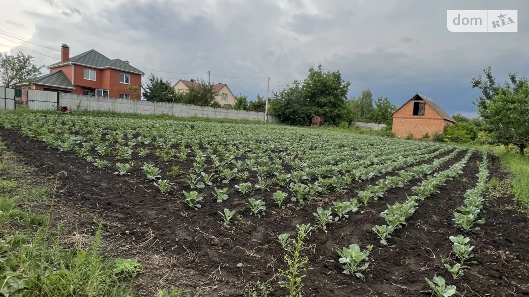 Продается земельный участок 20 соток в Винницкой области, цена: 49999 $ - фото 3