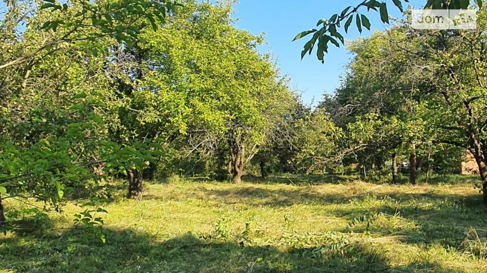 Продается одноэтажный дом 50 кв. м с подвалом, цена: 40000 $ - фото 4