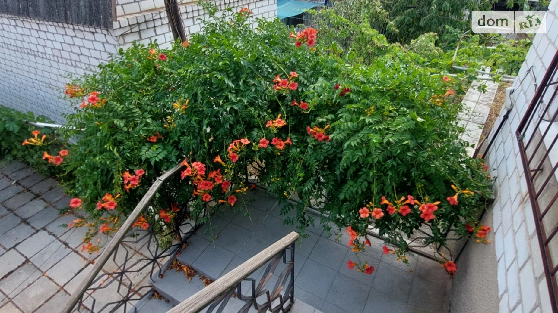Продается дом на 2 этажа 200.2 кв. м с мебелью, цена: 69000 $ - фото 5