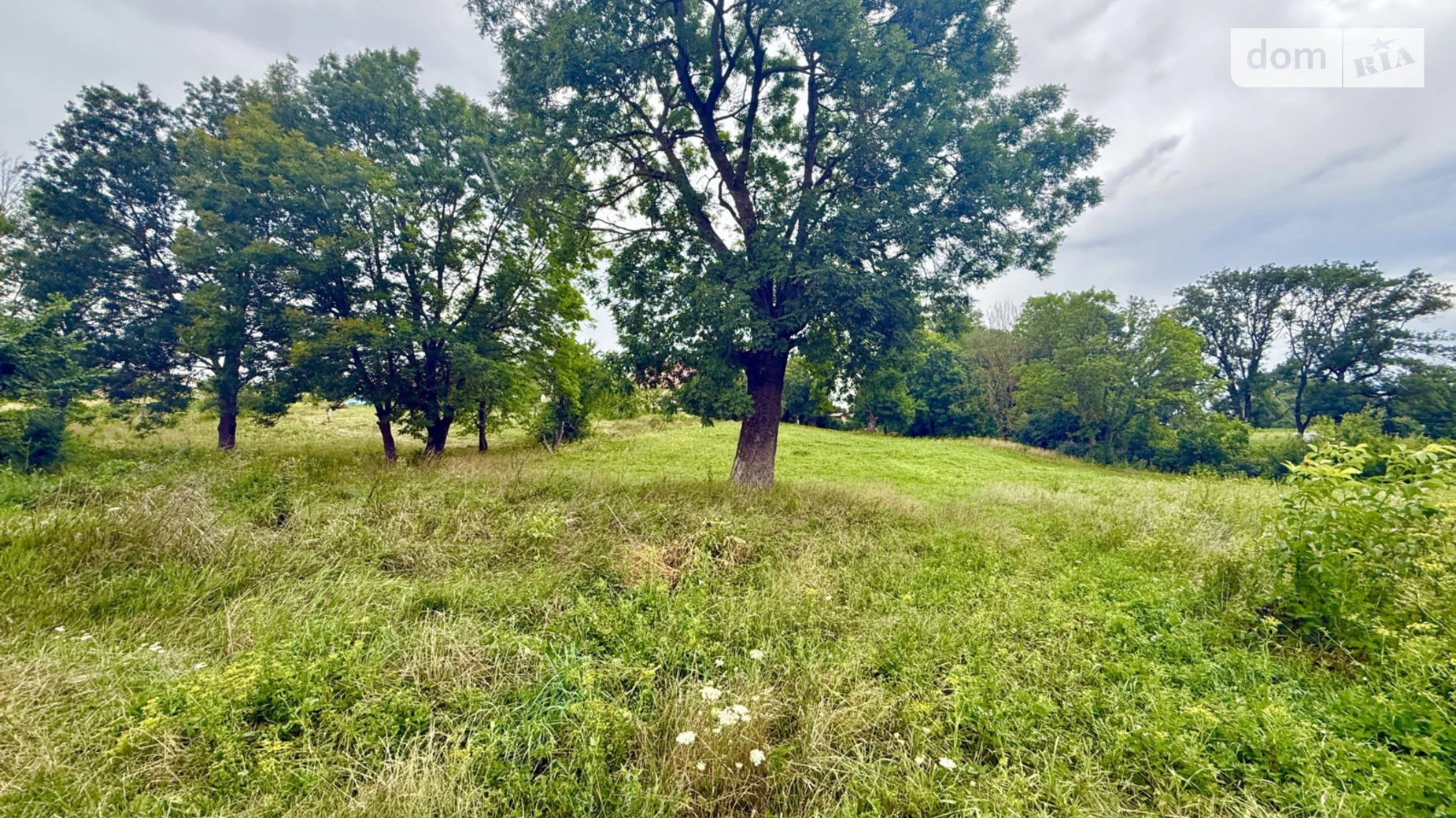 ул. Стремительная Байковцы, цена: 40000 $ - фото 3