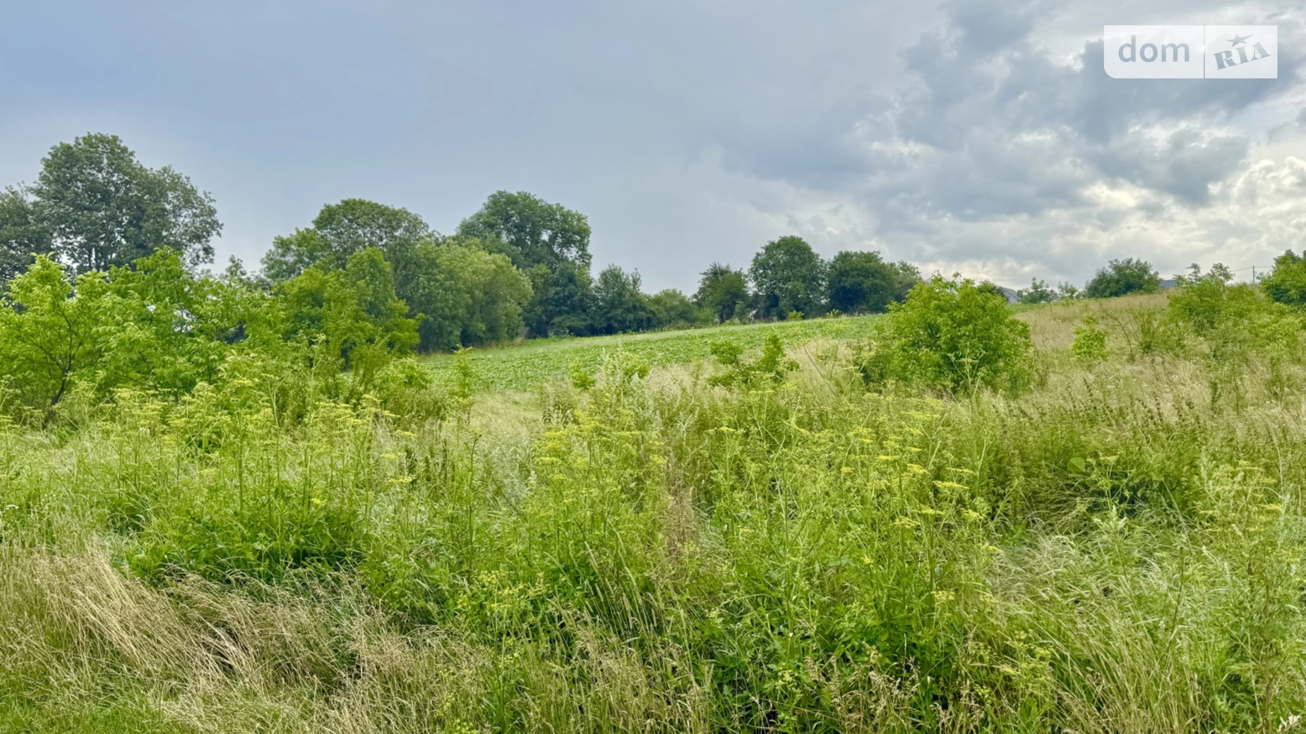 ул. Стремительная Байковцы, цена: 40000 $ - фото 4