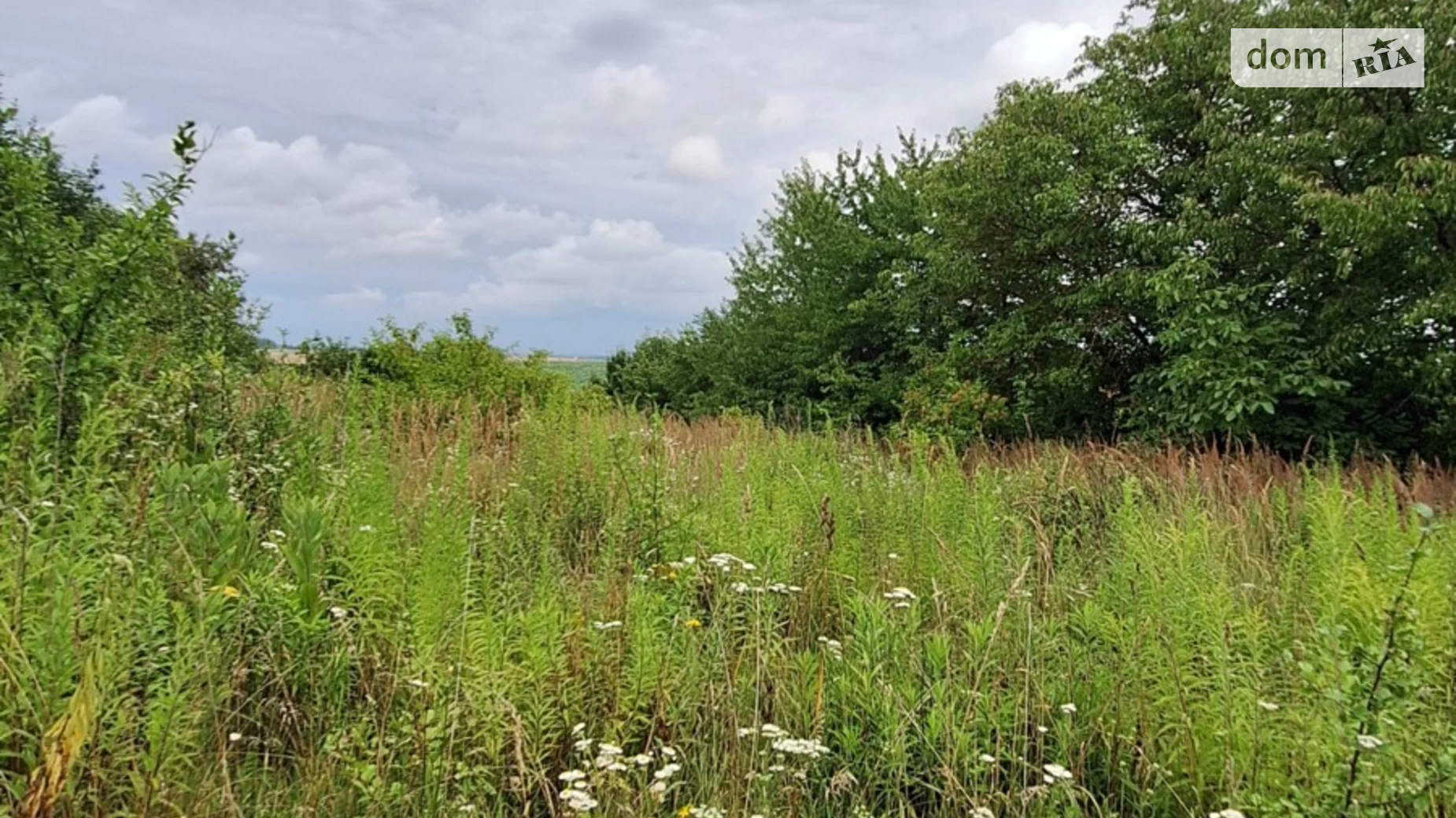 Продается земельный участок 16.5 соток в Волынской области, цена: 16500 $ - фото 2