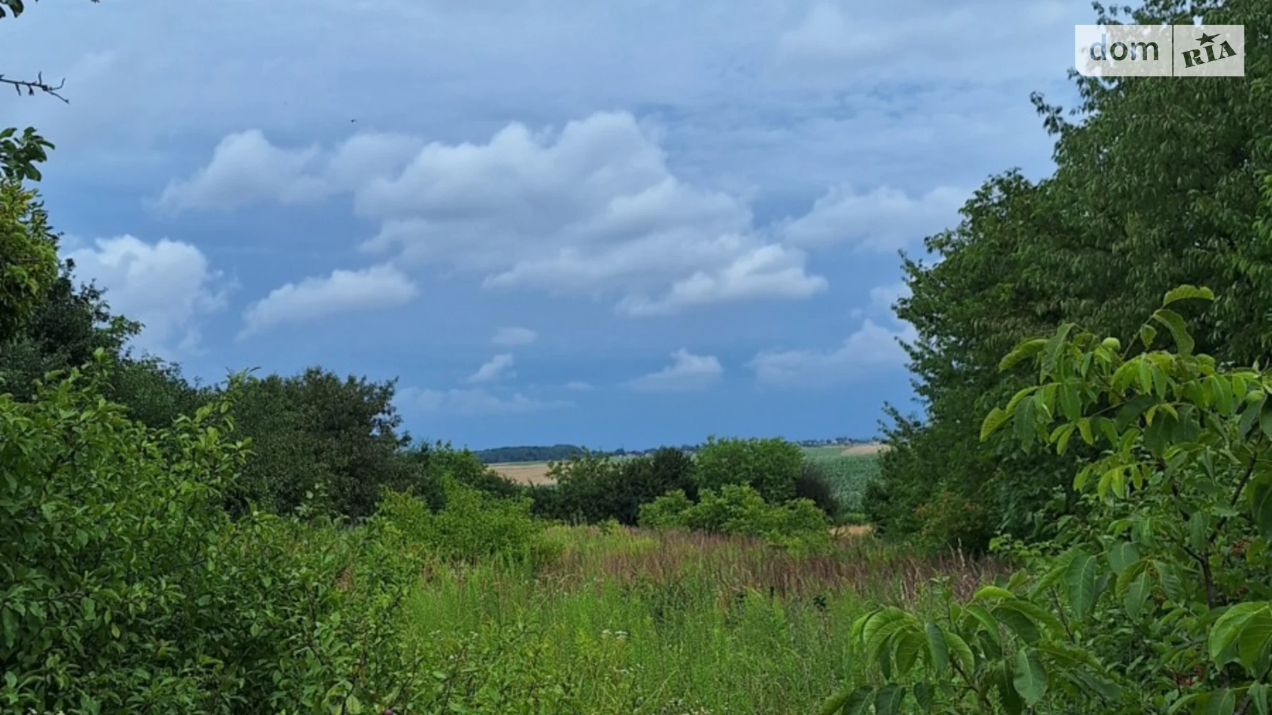 Продается земельный участок 16.5 соток в Волынской области, цена: 16500 $ - фото 3