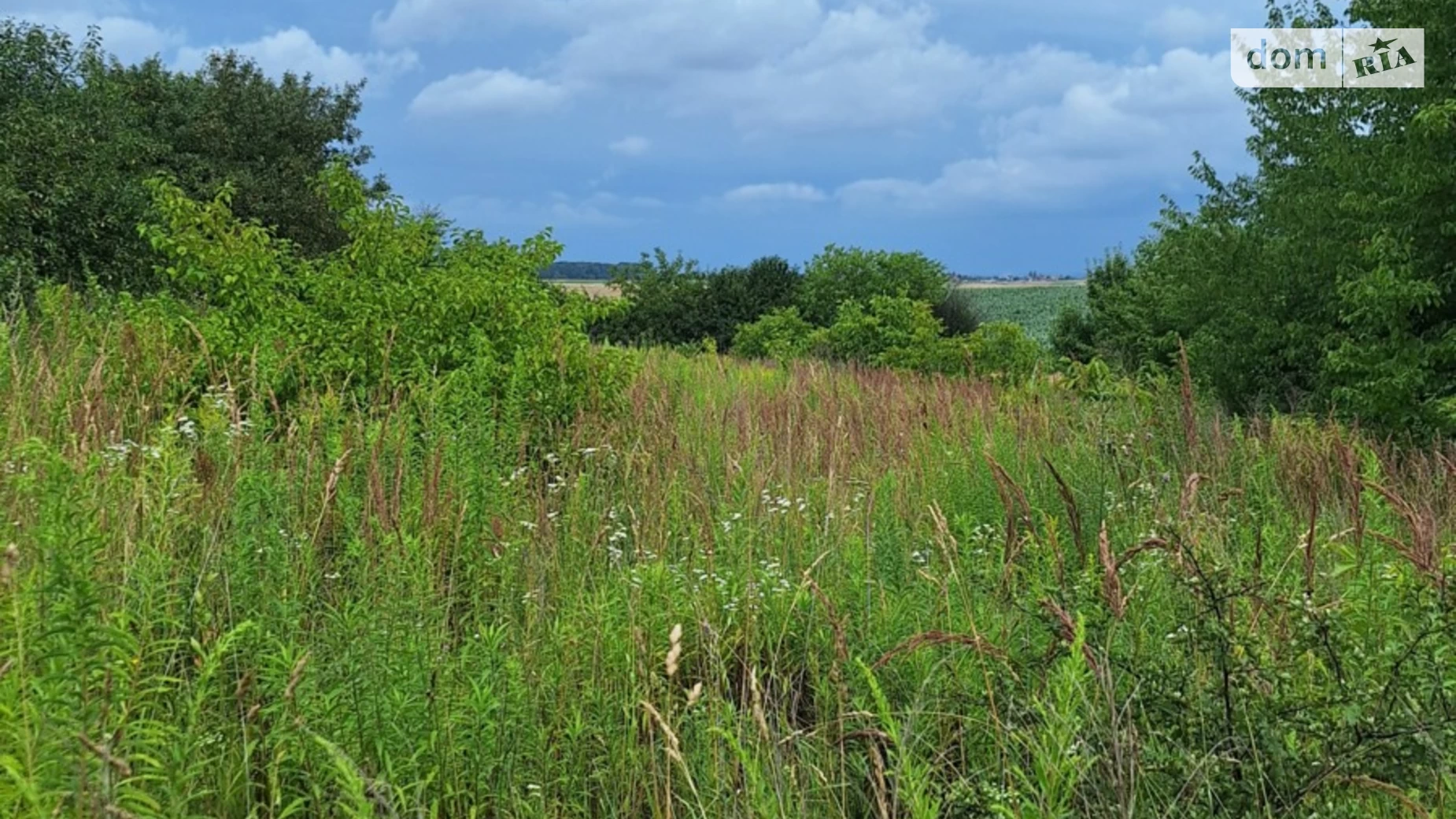 Продается земельный участок 16.5 соток в Волынской области, цена: 16500 $ - фото 5