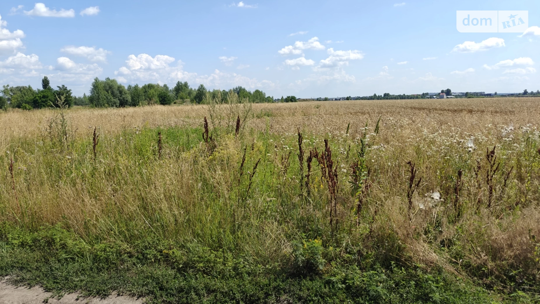 Погребы (Бровары), цена: 10500 $ - фото 2