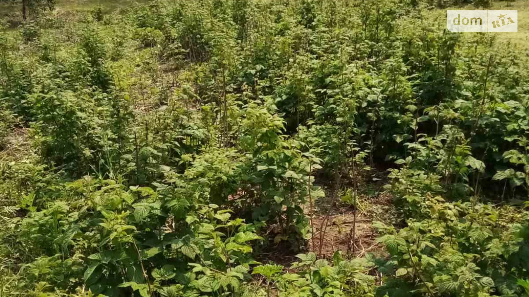 Продается земельный участок 15 соток в Харьковской области, цена: 3700 $ - фото 3