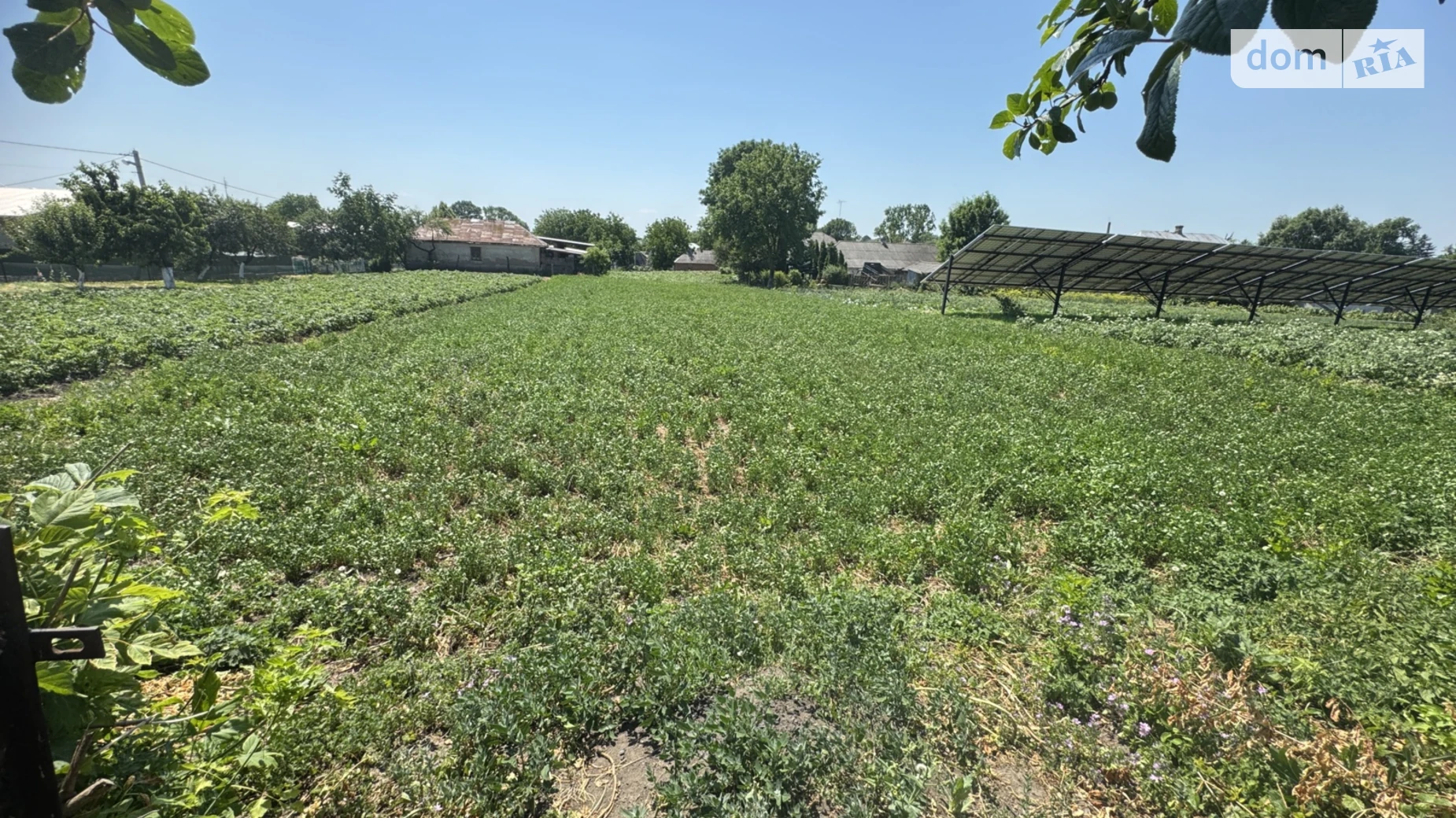 Продается одноэтажный дом 150 кв. м с подвалом, цена: 3999 $ - фото 4