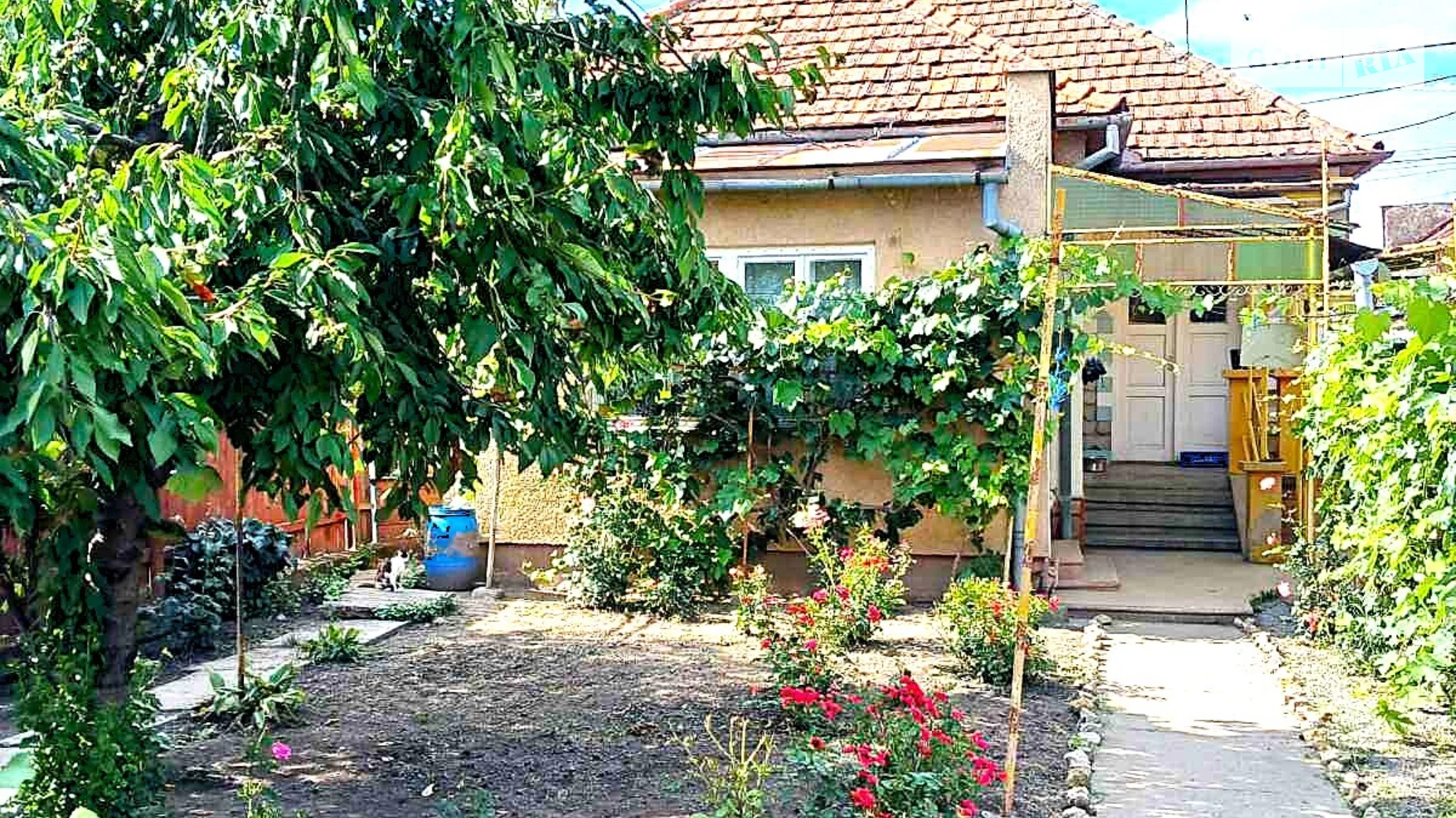 Продается одноэтажный дом 80 кв. м с баней/сауной, цена: 41000 $ - фото 2