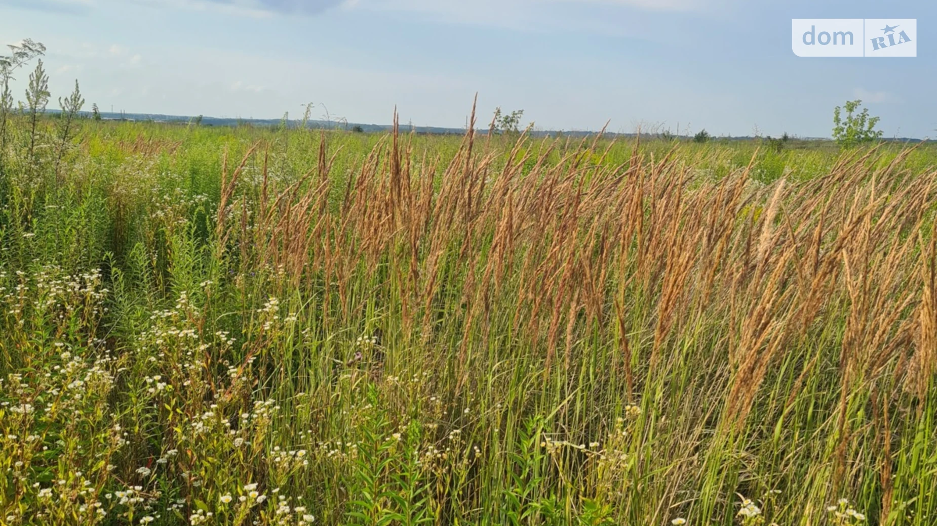 Продается земельный участок 10 соток в Винницкой области, цена: 10000 $ - фото 2