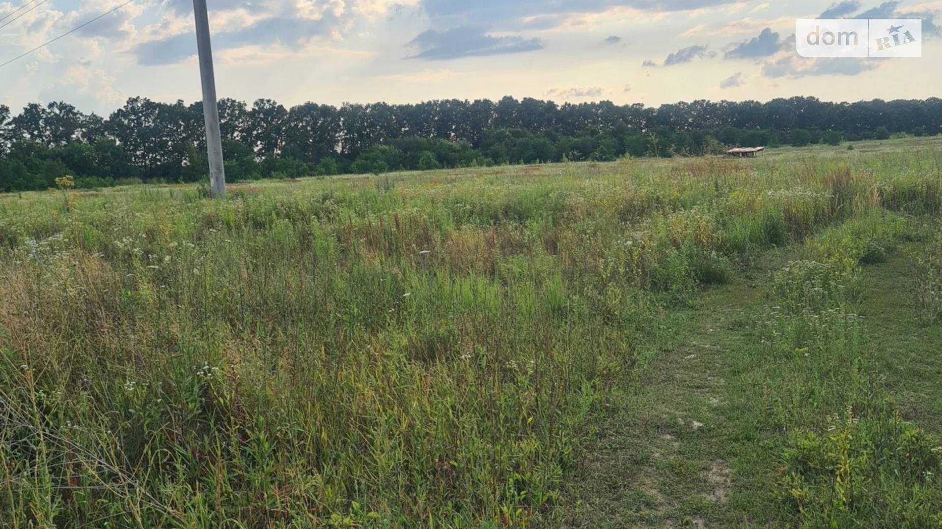 Продается земельный участок 10 соток в Винницкой области, цена: 10000 $ - фото 3