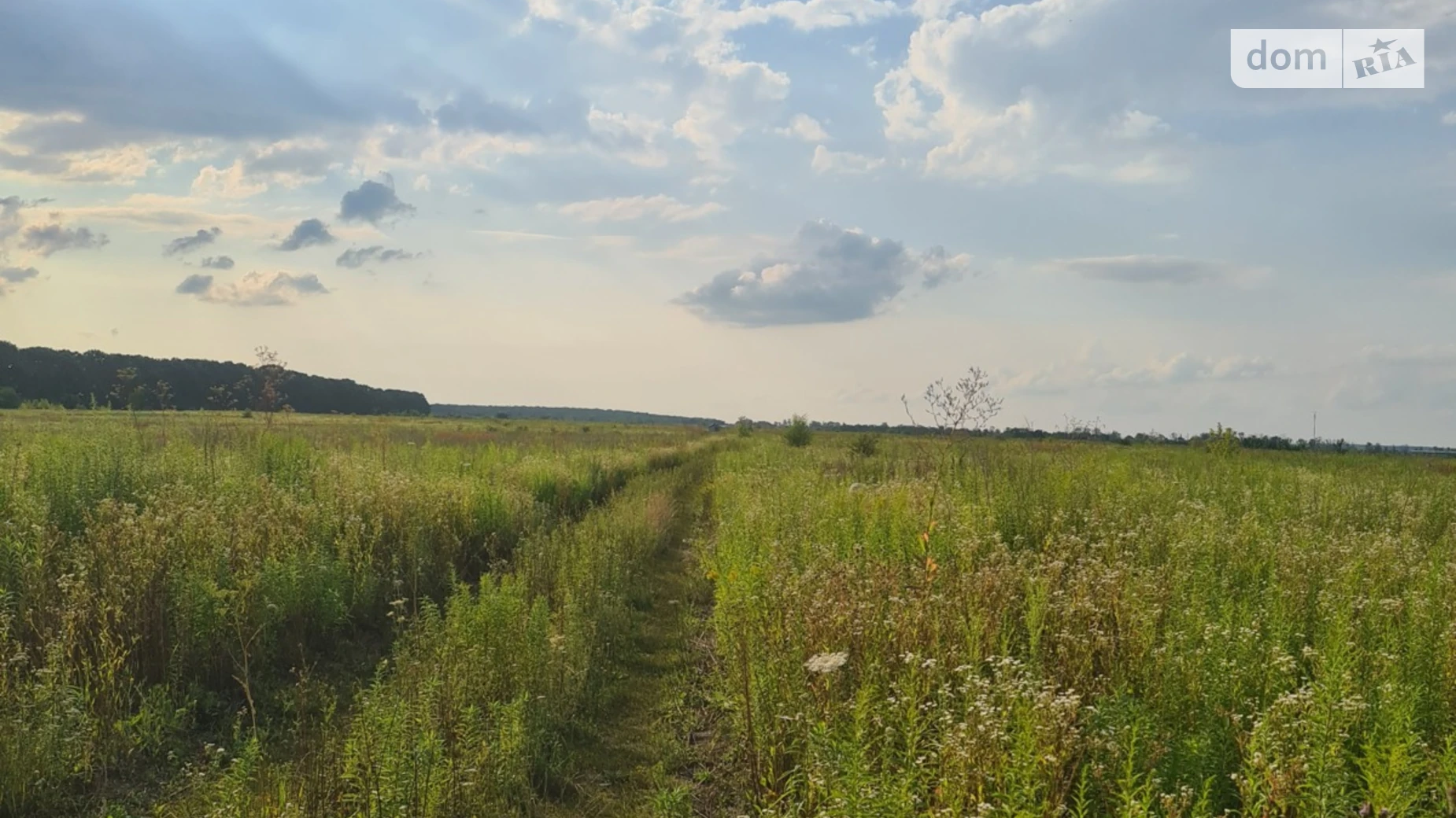 Продается земельный участок 10 соток в Винницкой области, цена: 10000 $ - фото 4