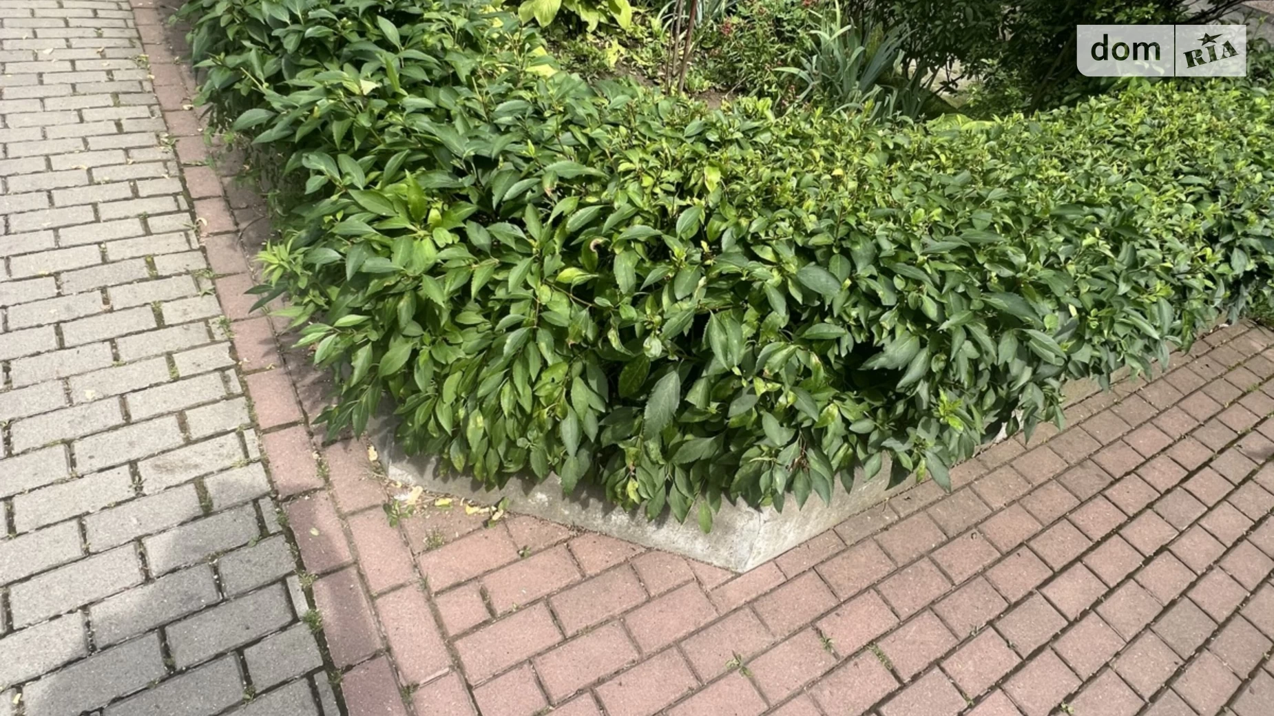 Продается 2-комнатная квартира 44.8 кв. м в Мукачеве, вул. Набережная - фото 4