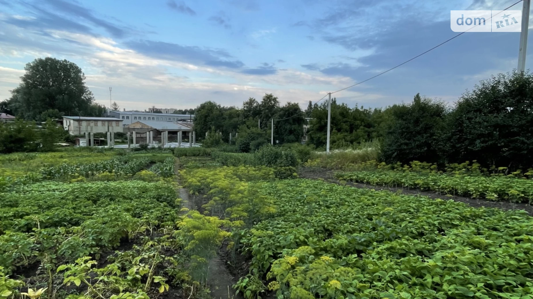 Продается земельный участок 15 соток в Хмельницкой области, цена: 75000 $ - фото 2
