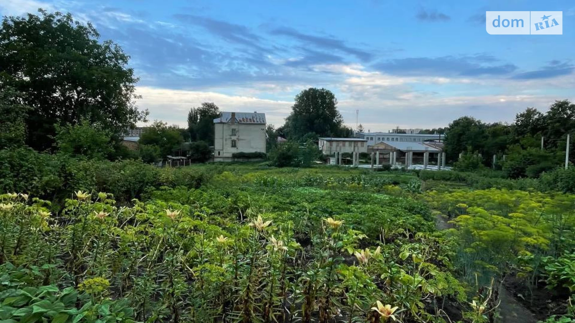 ул. Левка Лукьяненко Гречаны Хмельницкий, цена: 75000 $ - фото 3