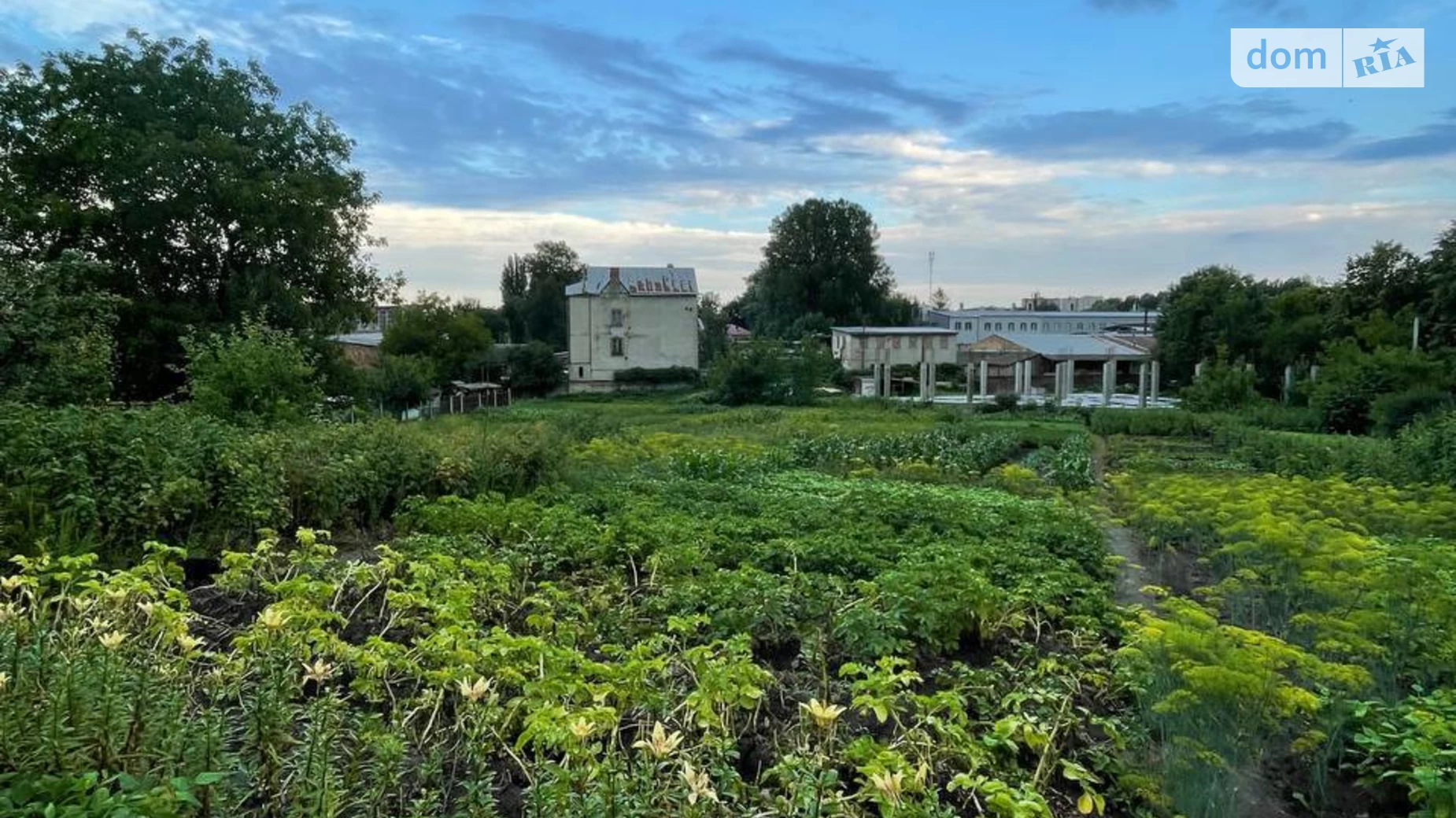 ул. Левка Лукьяненко Гречаны Хмельницкий, цена: 75000 $ - фото 4