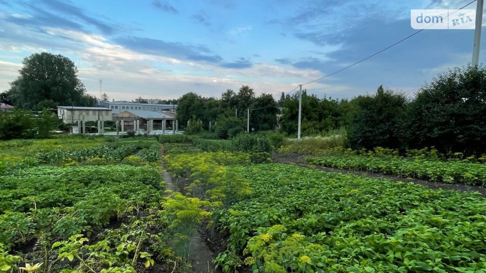 ул. Левка Лукьяненко Гречаны Хмельницкий, цена: 75000 $ - фото 5