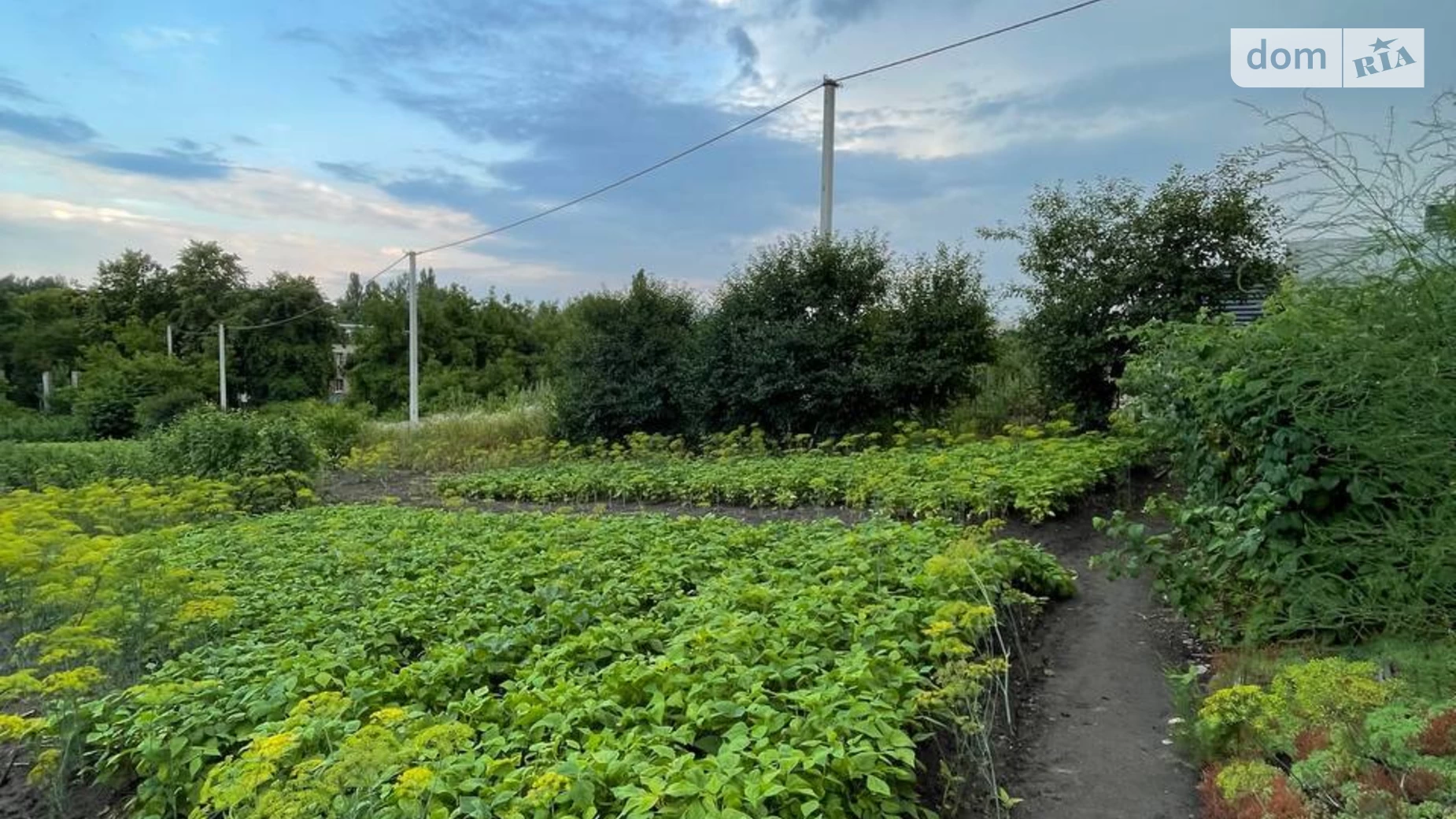 Продается земельный участок 15 соток в Хмельницкой области, цена: 75000 $ - фото 2