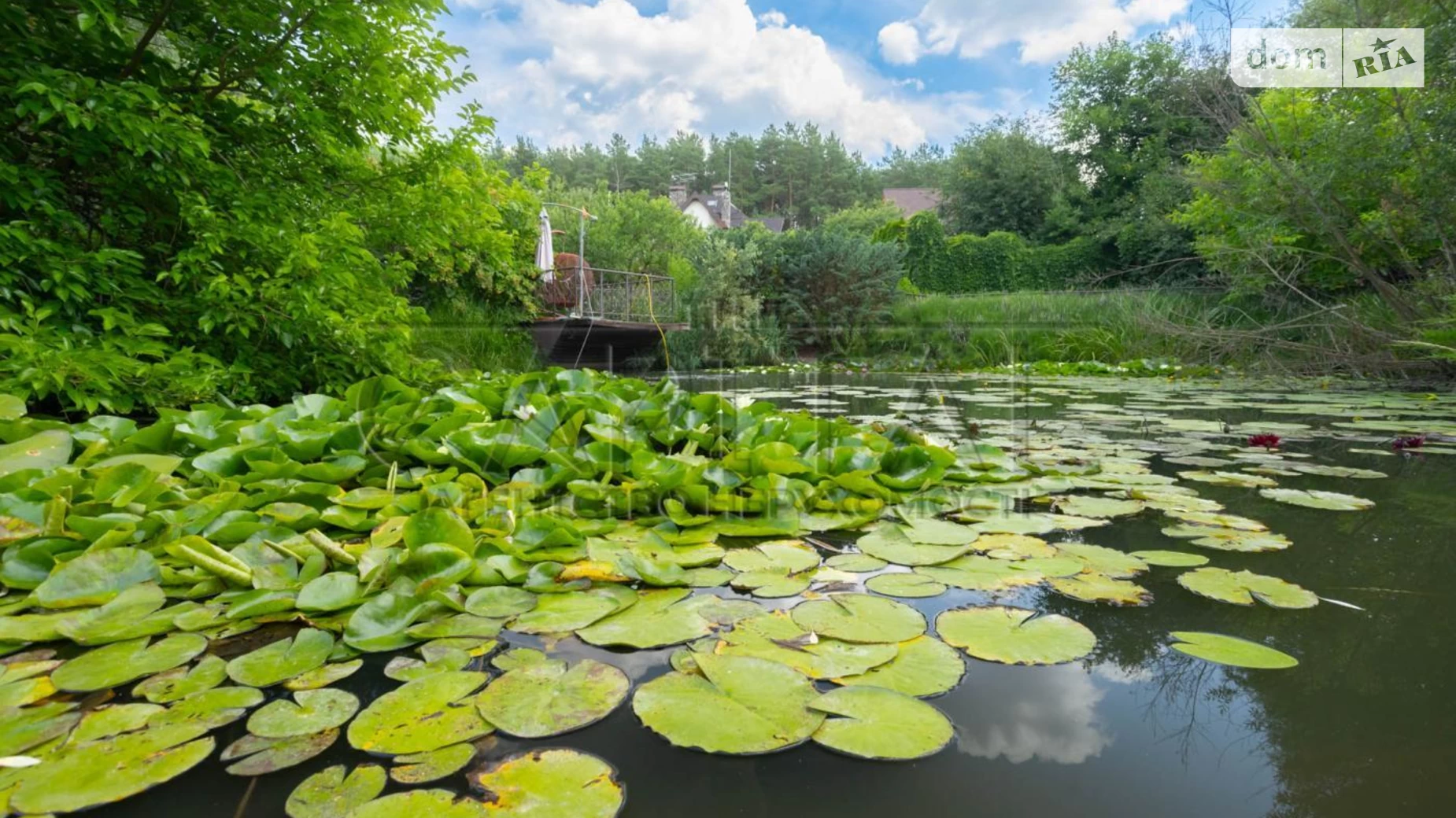 ул. Луговая Юровка (Фастовский), цена: 479000 $ - фото 5