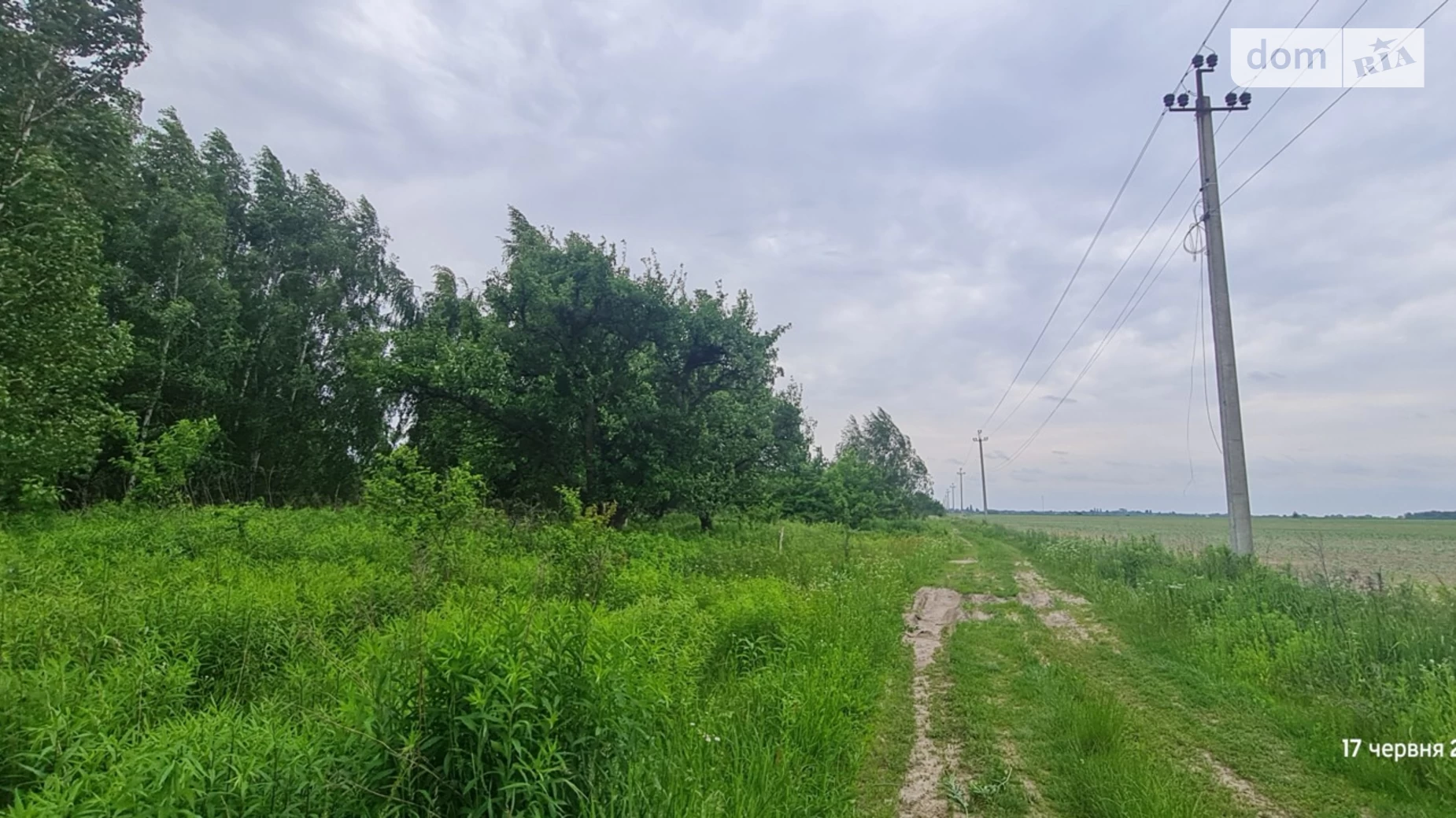 Ставище (Брусилов), цена: 32500 $ - фото 3